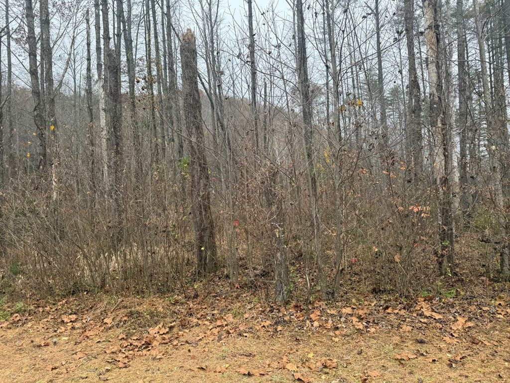 Residential Lot at 0 4, 5 Rushing Water Trail, Hayesville, NC 28904, Hayesville, photo 3 of 7