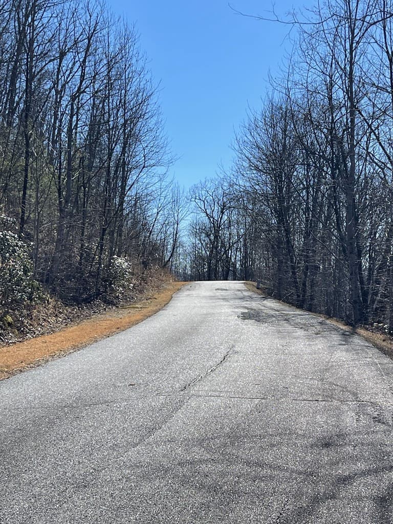 Residential Lot at Lot 29j 29J Ash Branch Rd, Hayesville, NC 28904, photo 5 of 5