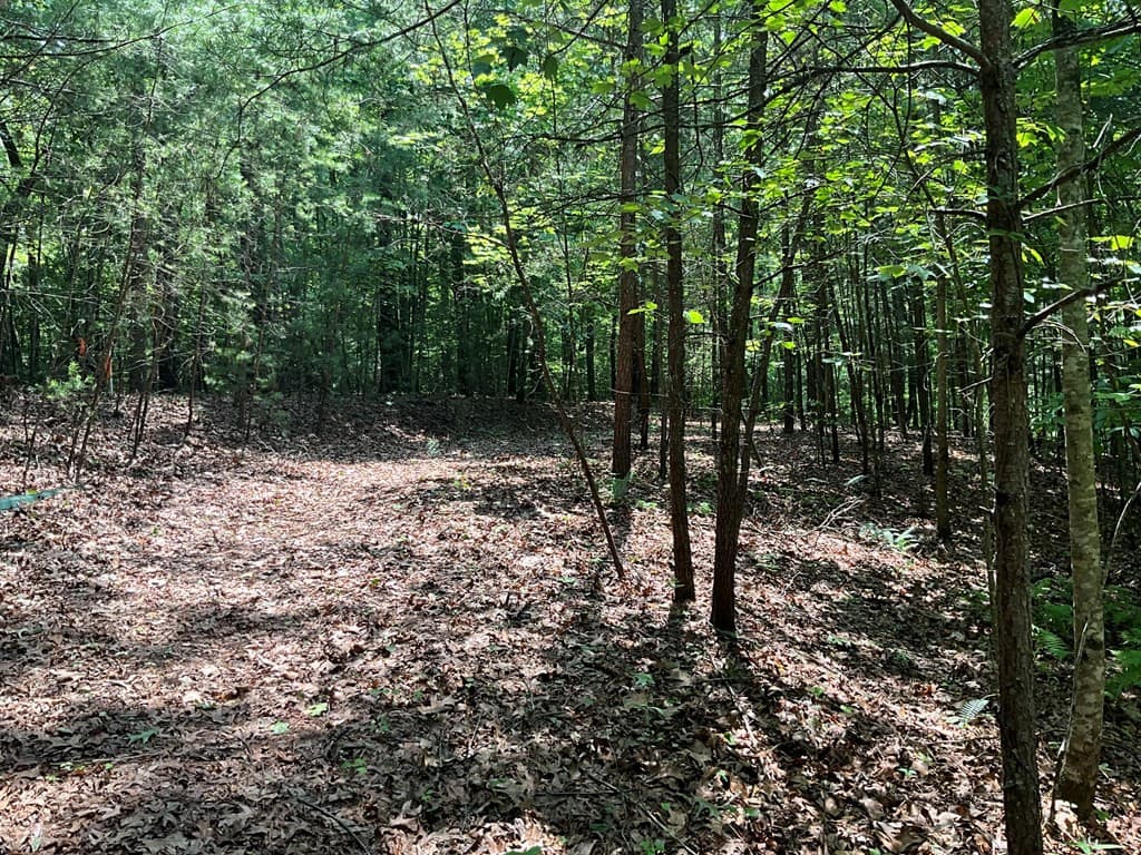 Land at 5 Birds View Lane, Murphy, NC 28906, photo 9 of 17
