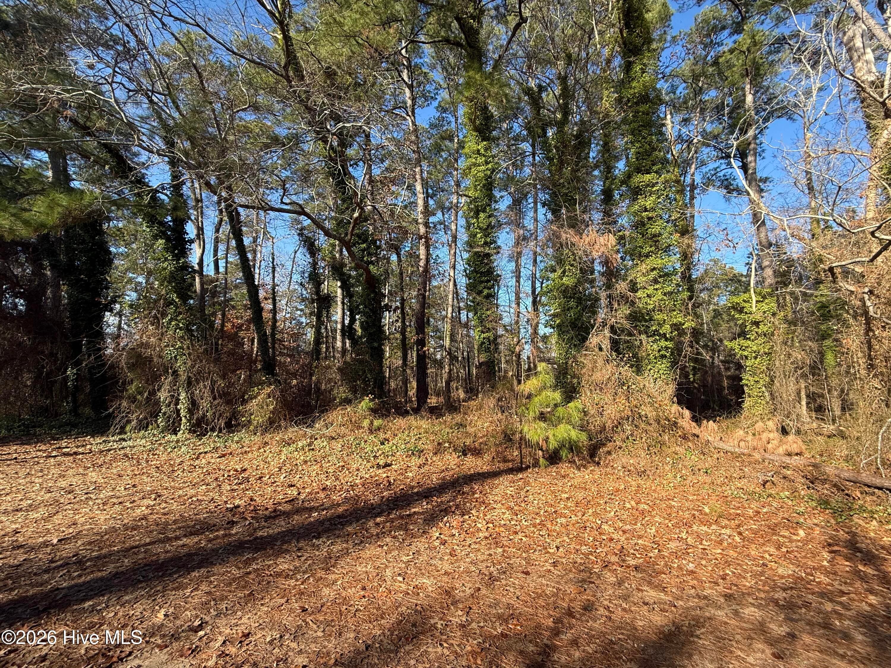 Wooded at 0 Alexander Lane, Williamston, NC 27892, photo 9 of 11