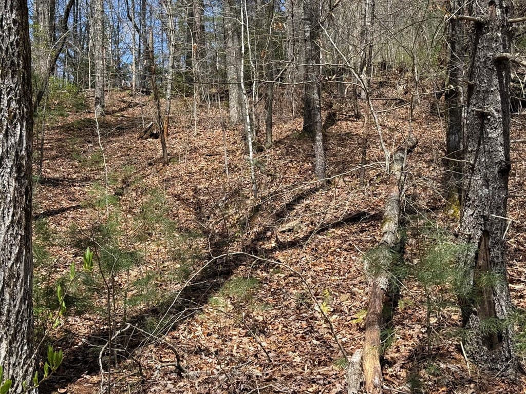 Undeveloped at 0 Morrow Road, Murphy, NC 28906, photo 4 of 5