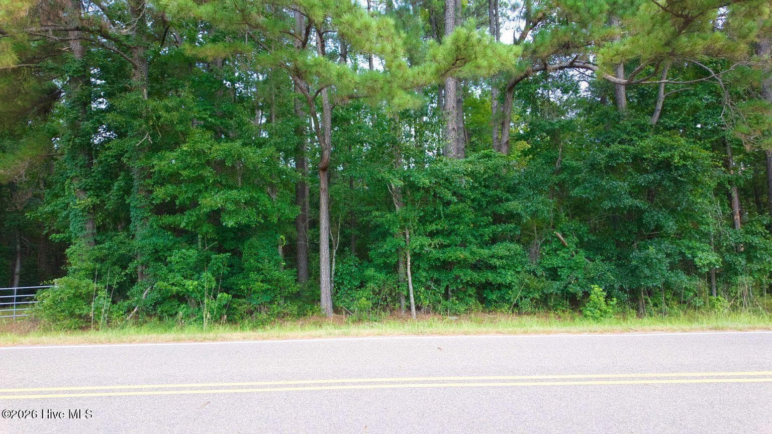 0000 Near 855 Furnie Hamm Road, Clarendon, NC 28432