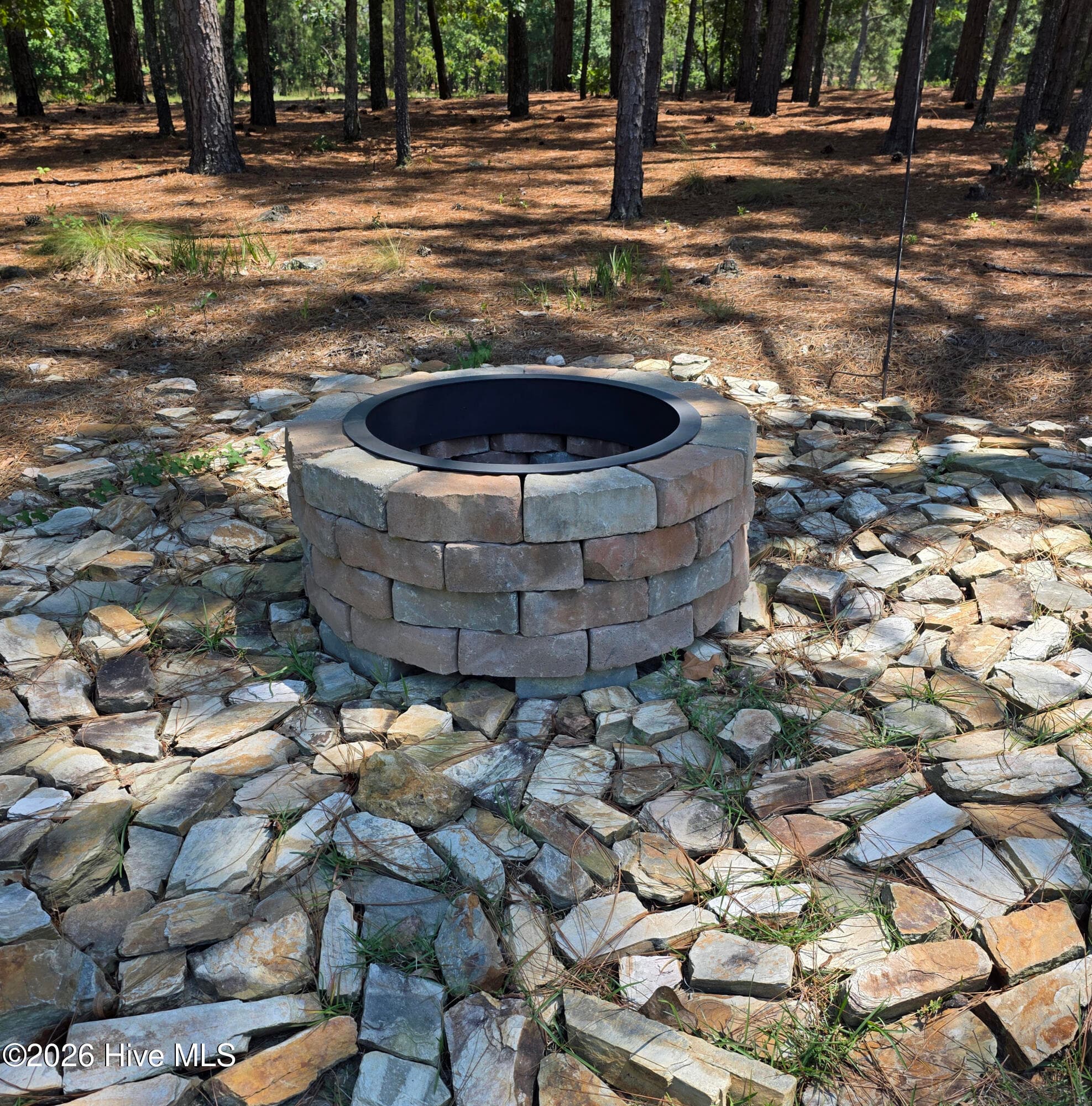 Single Family Residence at 39 Forest Lake Drive, Jackson Springs, NC 27281, photo 50 of 60