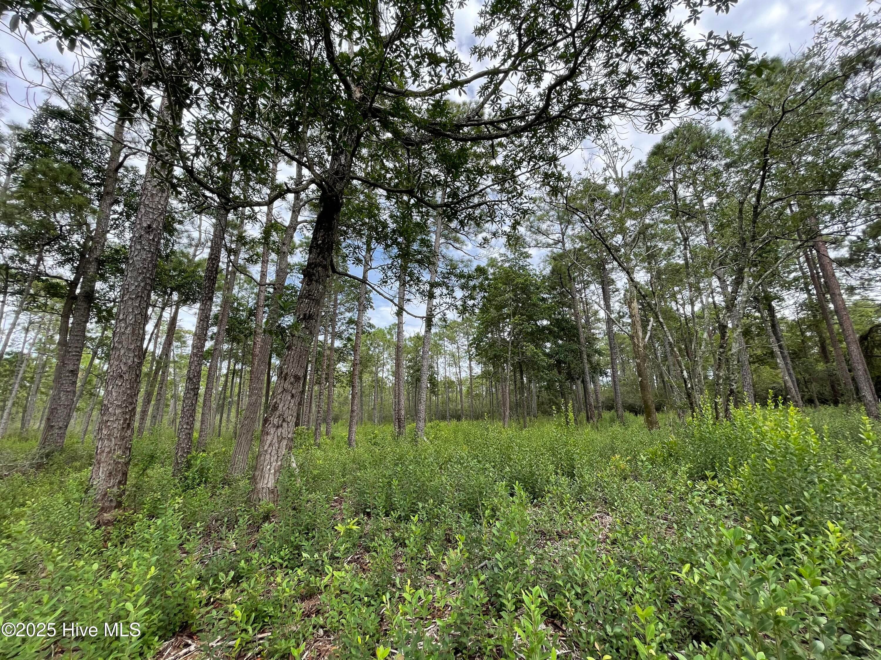 Residential Lot at 811 Brittany Road, Southport, NC 28461, photo 8 of 25