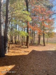 847 4565 Seagull Drive, Vass, NC 28394