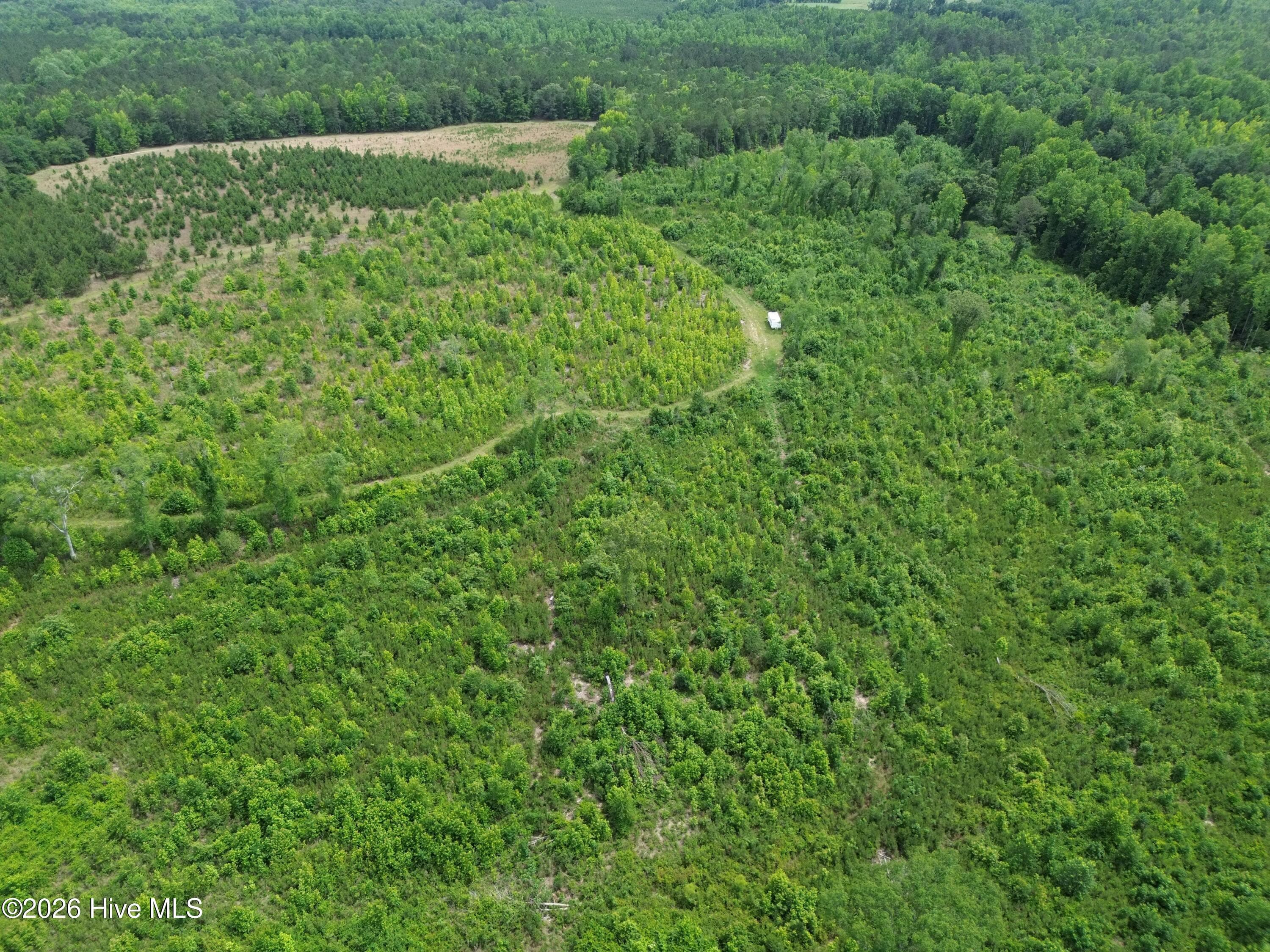 Undeveloped at 0 Pughsley Road, Stapleton, GA 30823, photo 9 of 13