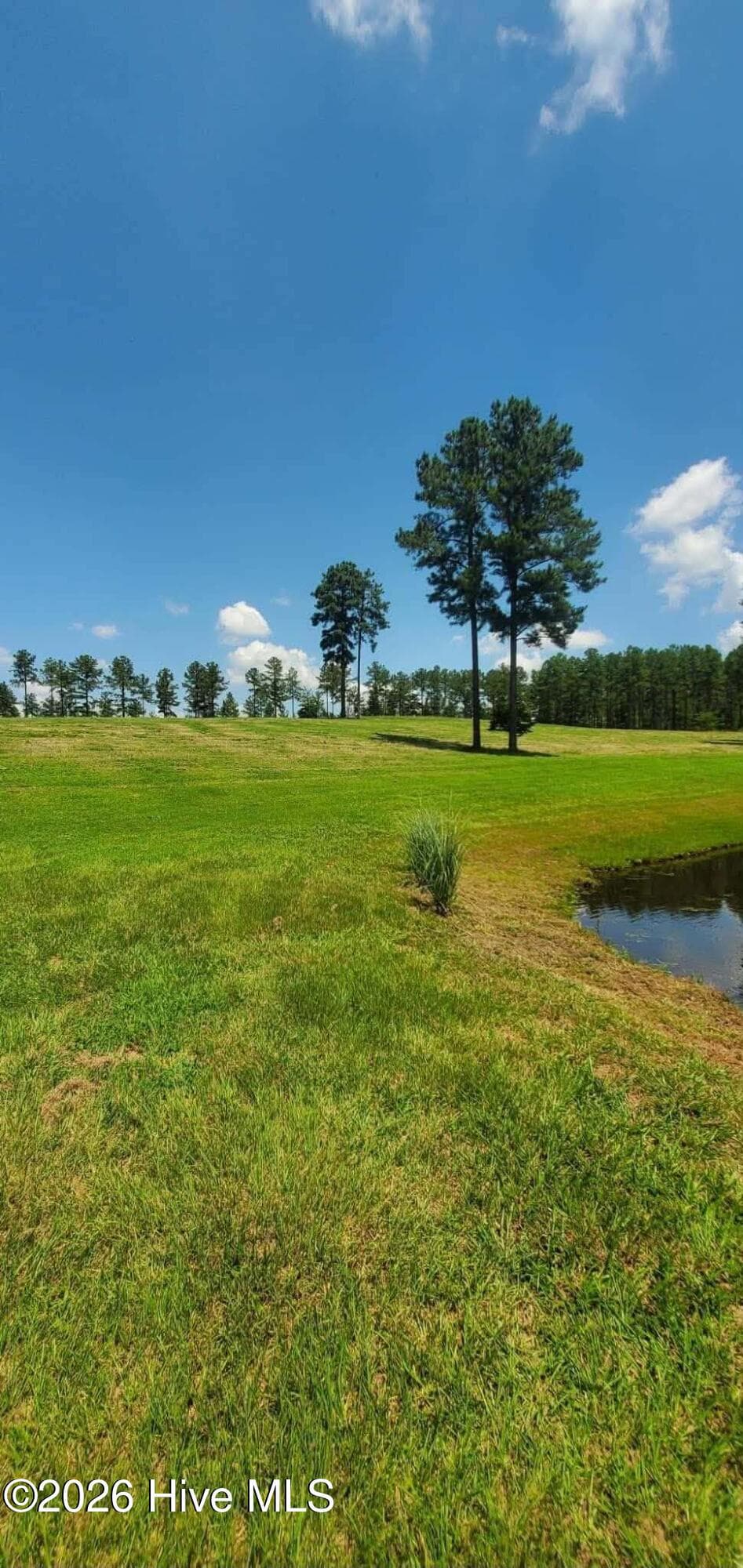 Horse Farm at 220 44B Justin Way, Foxfire Village, NC 27281, photo 10 of 69