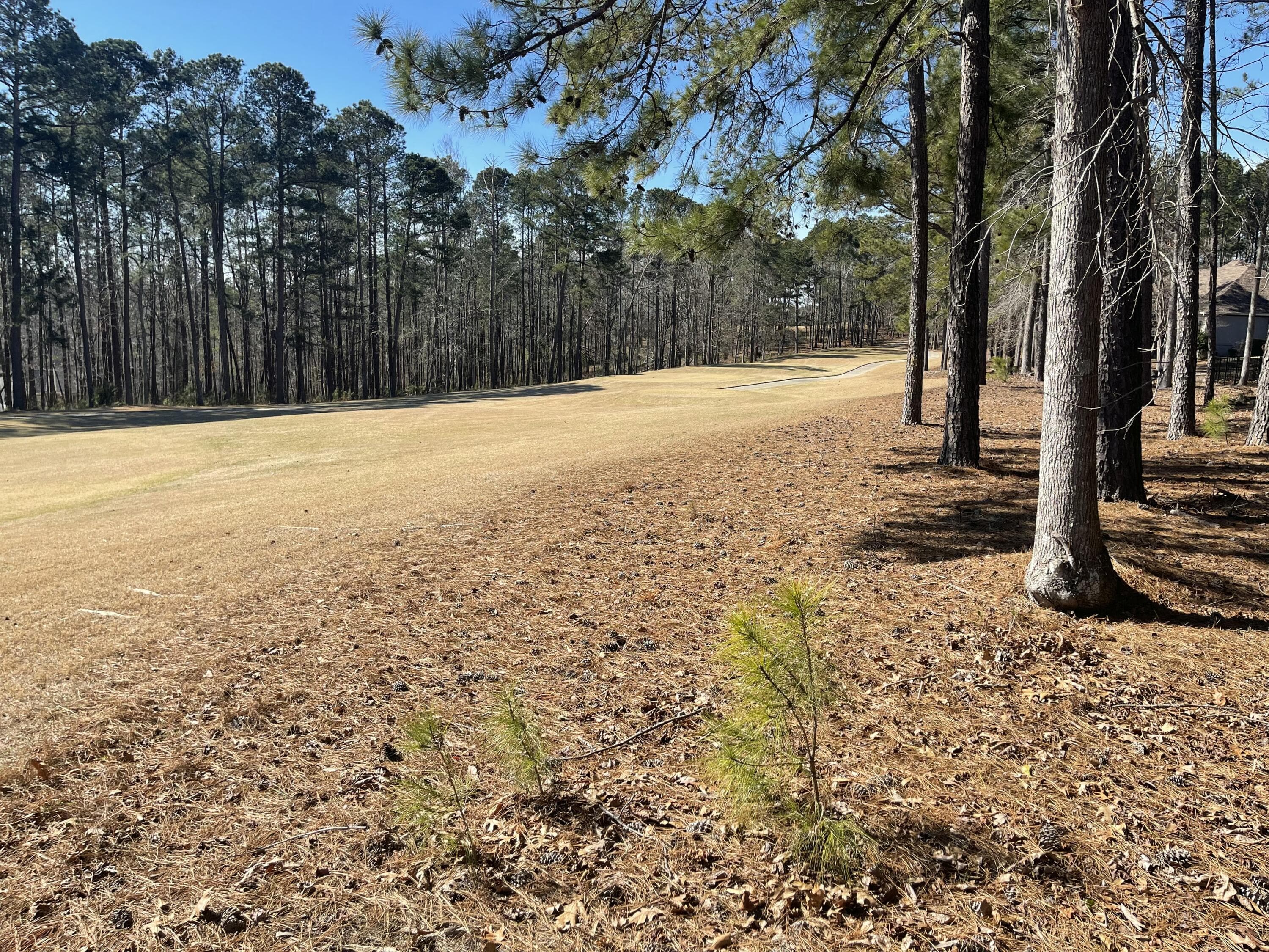Residential Lot at Lot H-57 Longstreet Place, North Augusta, SC 29860, photo 2 of 4