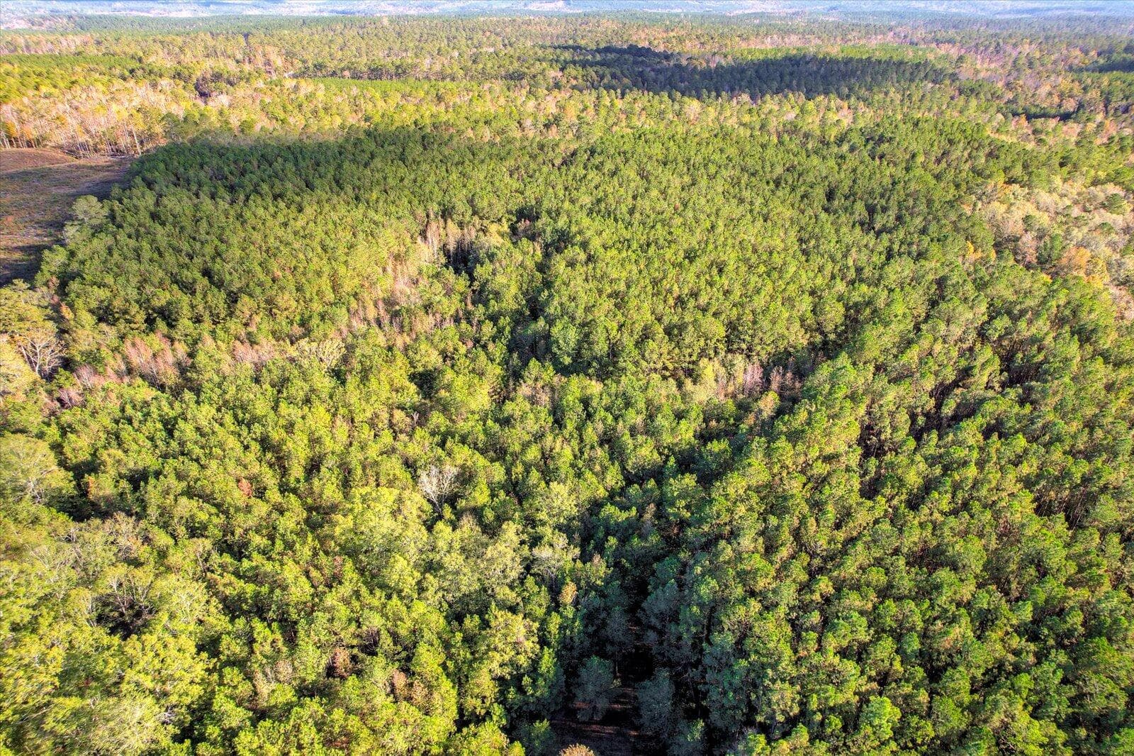 Undeveloped at Tbd2 Sc-23, Edgefield, SC 29824, photo 19 of 41