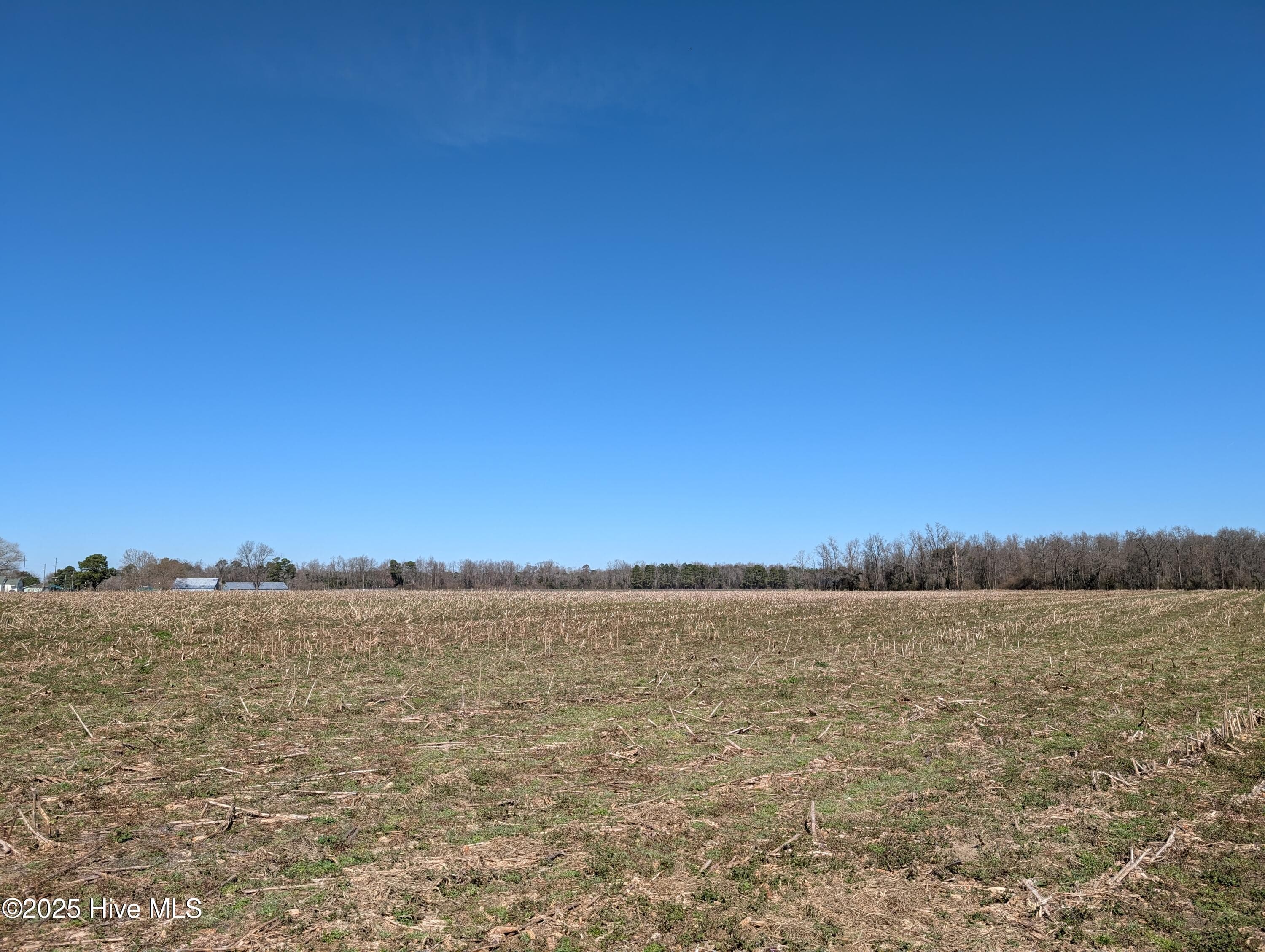 Farm at 000 1 Cedar Fork Road, Beulaville, NC 28518, photo 3 of 7