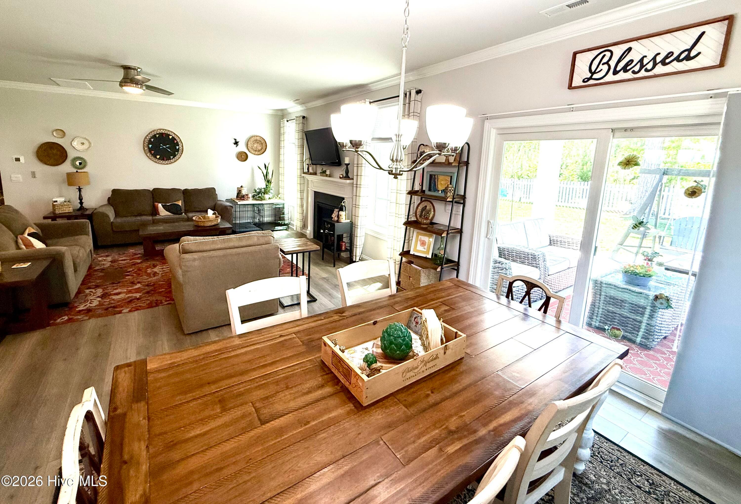 lots of natural light - 5010 Spring Green Pass, New Bern, NC 28562