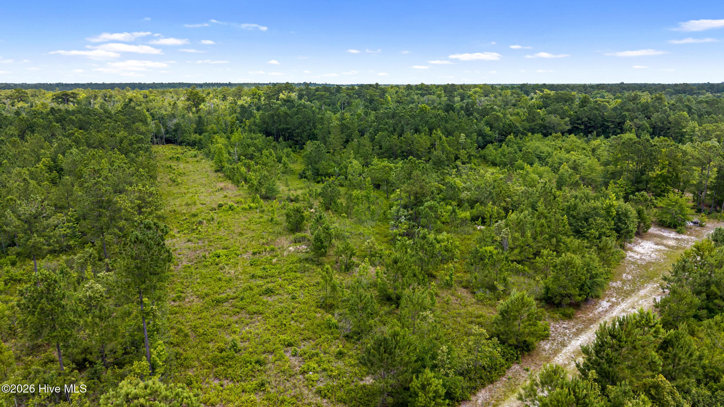 Residential Lot at 0 Tbd 110 Acres American Way Road, Rocky Point, NC 28457, photo 3 of 12