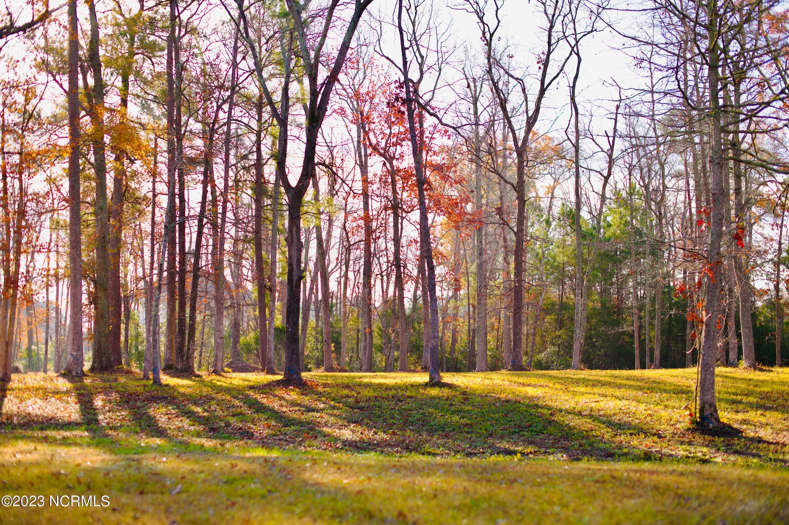Residential Land at 161 44 Sunshine Drive, Arapahoe, NC 28510, photo 14 of 19