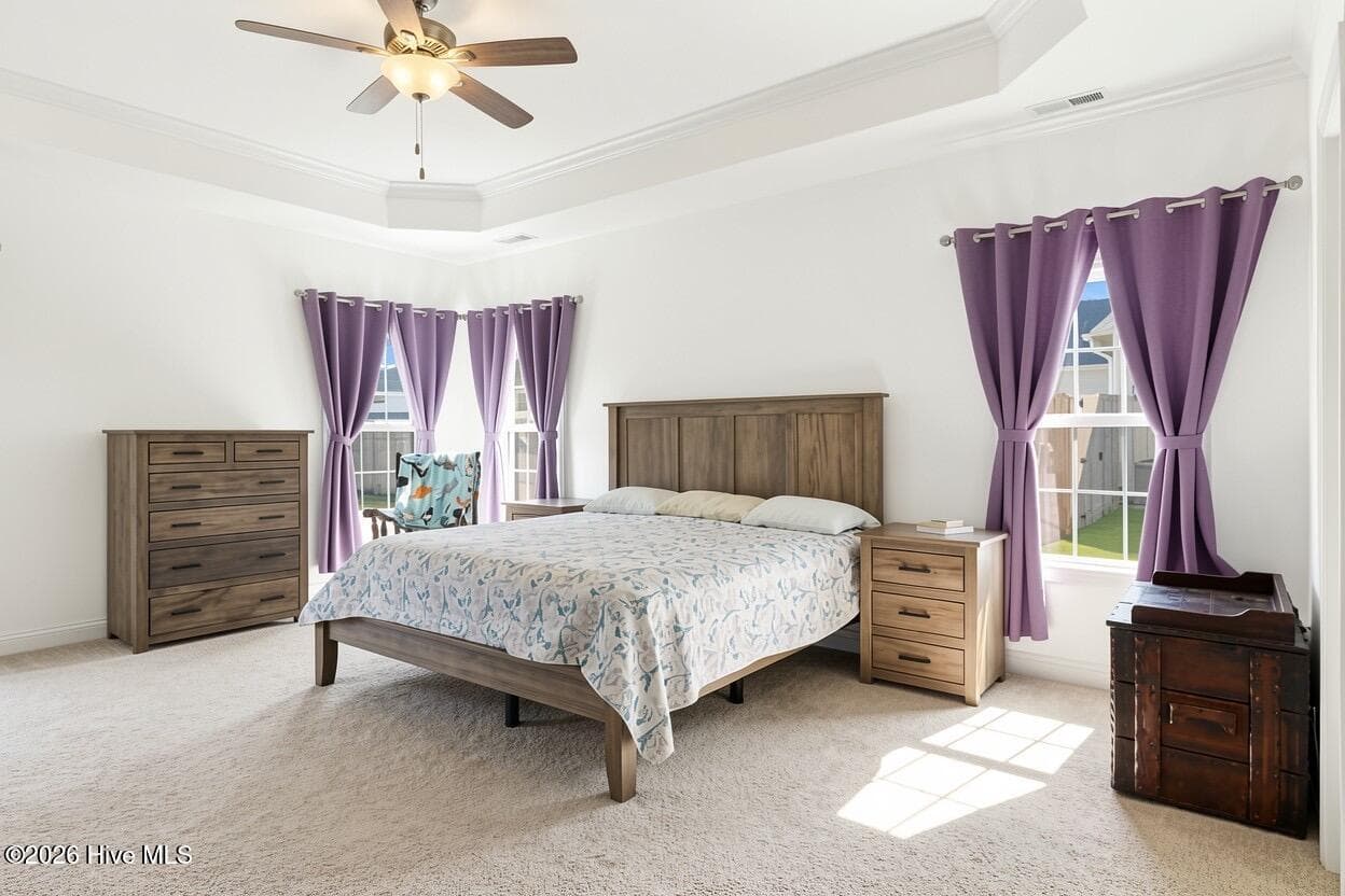 Tray ceiling and Just painted - 2019 Tarpon Trail, New Bern, NC 28562
