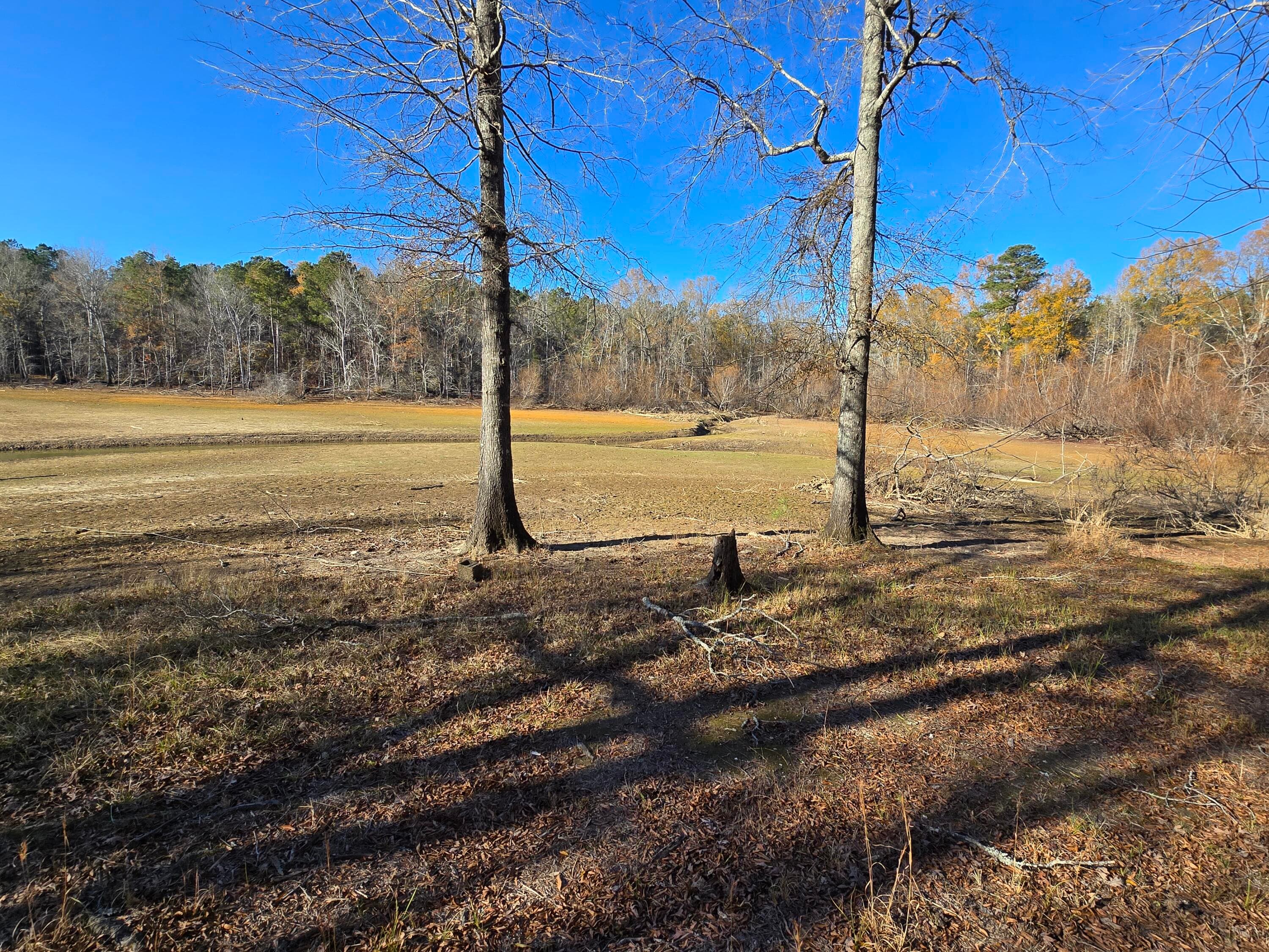 Residential Lot at 1102 Dogwood Drive, Lincolnton, GA 30817, photo 38 of 46