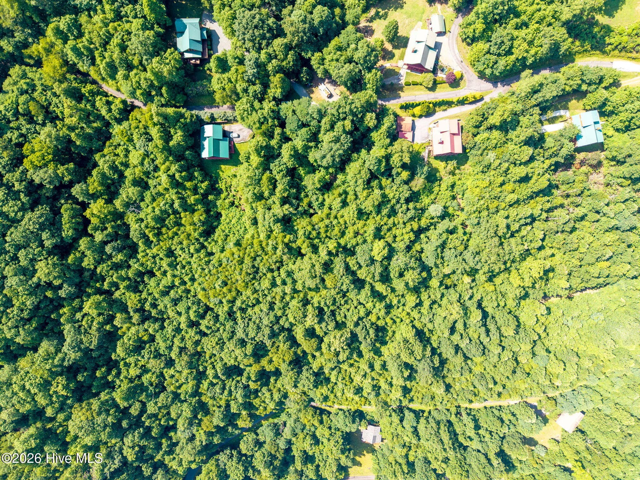 Undeveloped at 46 Buck Ridge Drive, Murphy, NC 28906, photo 11 of 17