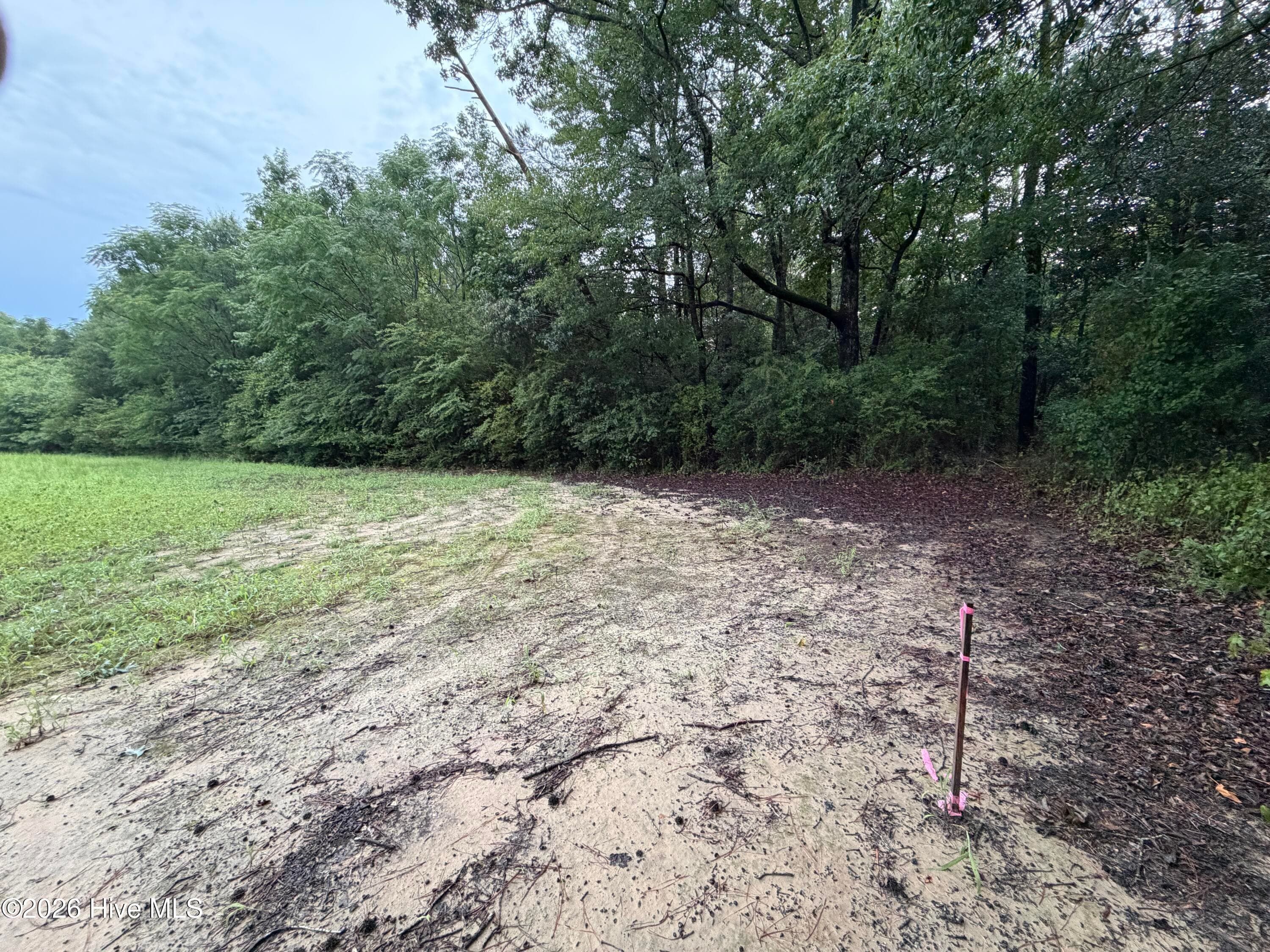 Residential Lot at Lot 9 Point Caswell Road, Willard, NC 28478, photo 8 of 12