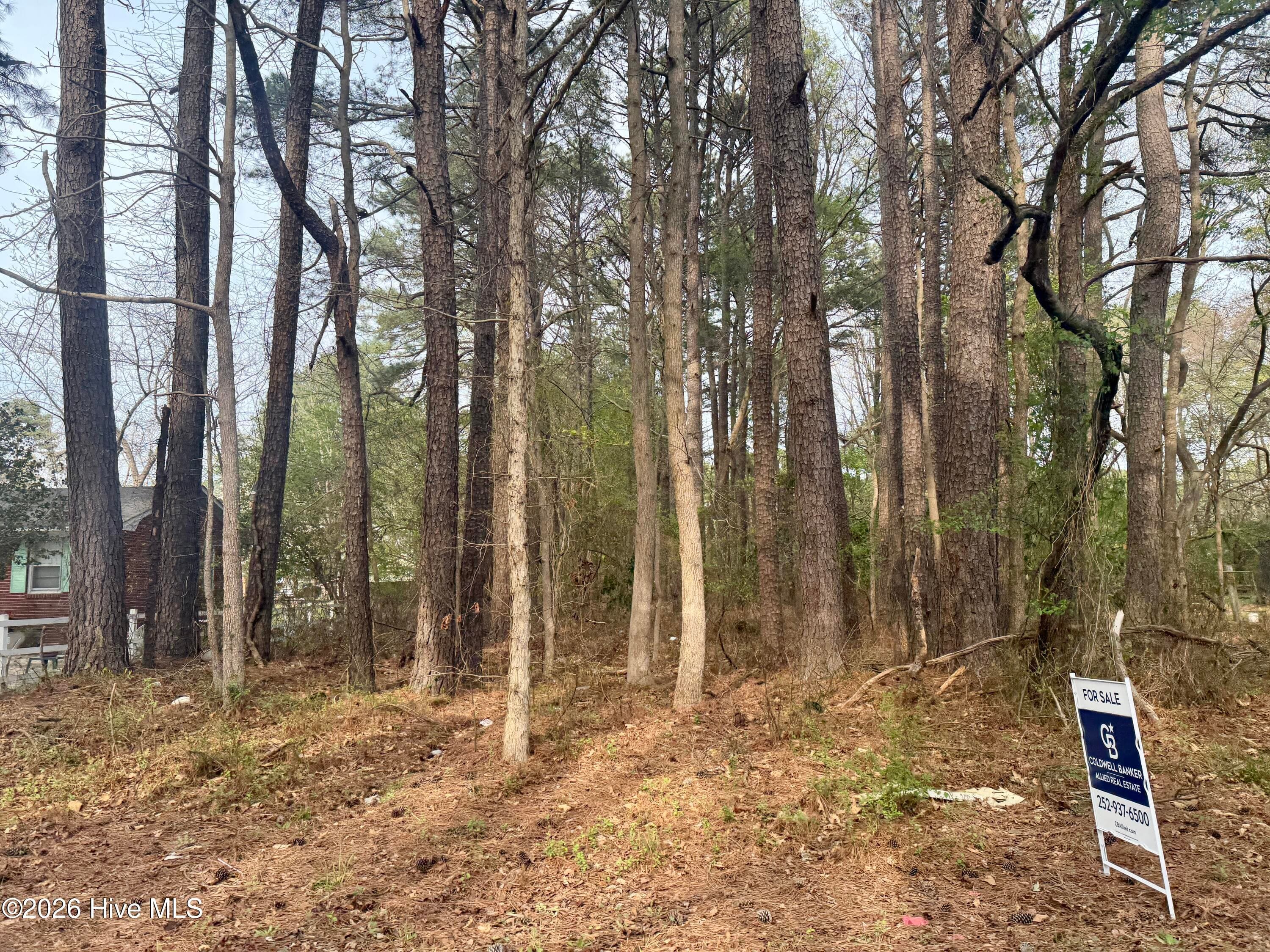 307 Viverette Avenue, Battleboro, NC 27809