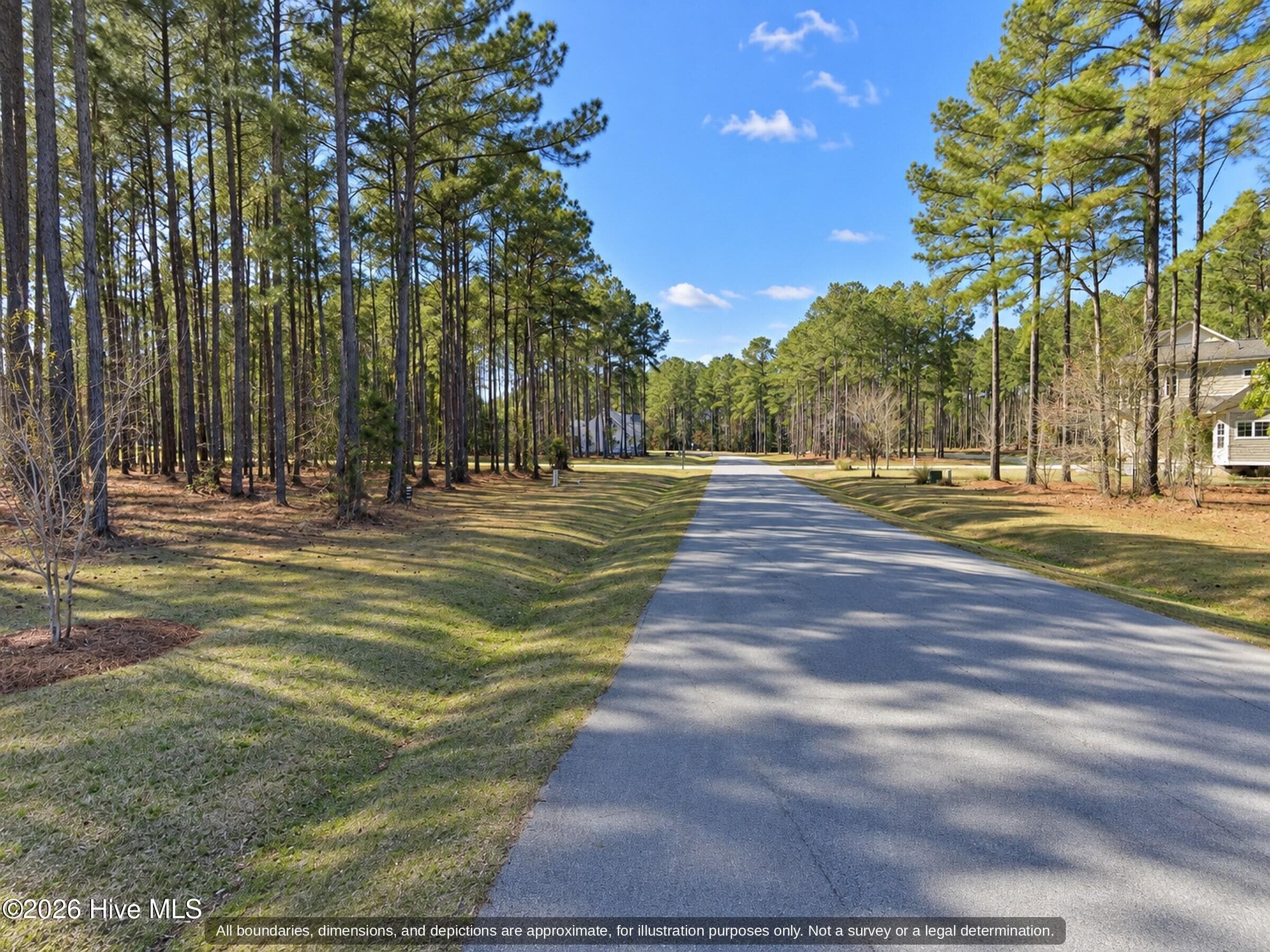 Paved, tree-lined street in gated Arlington Place, Pamlico County NC - 0000-0000 LOT 83 Mill Creek Drive, Minnesott Beach, NC 28510