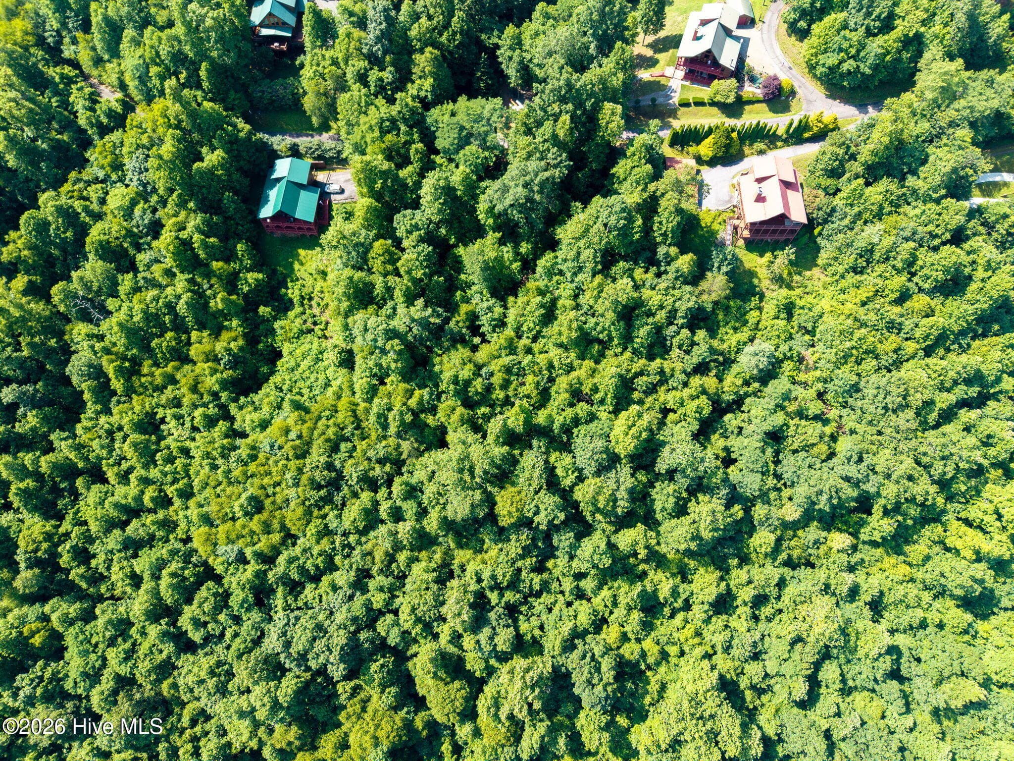 Undeveloped at 46 Buck Ridge Drive, Murphy, NC 28906, photo 7 of 17