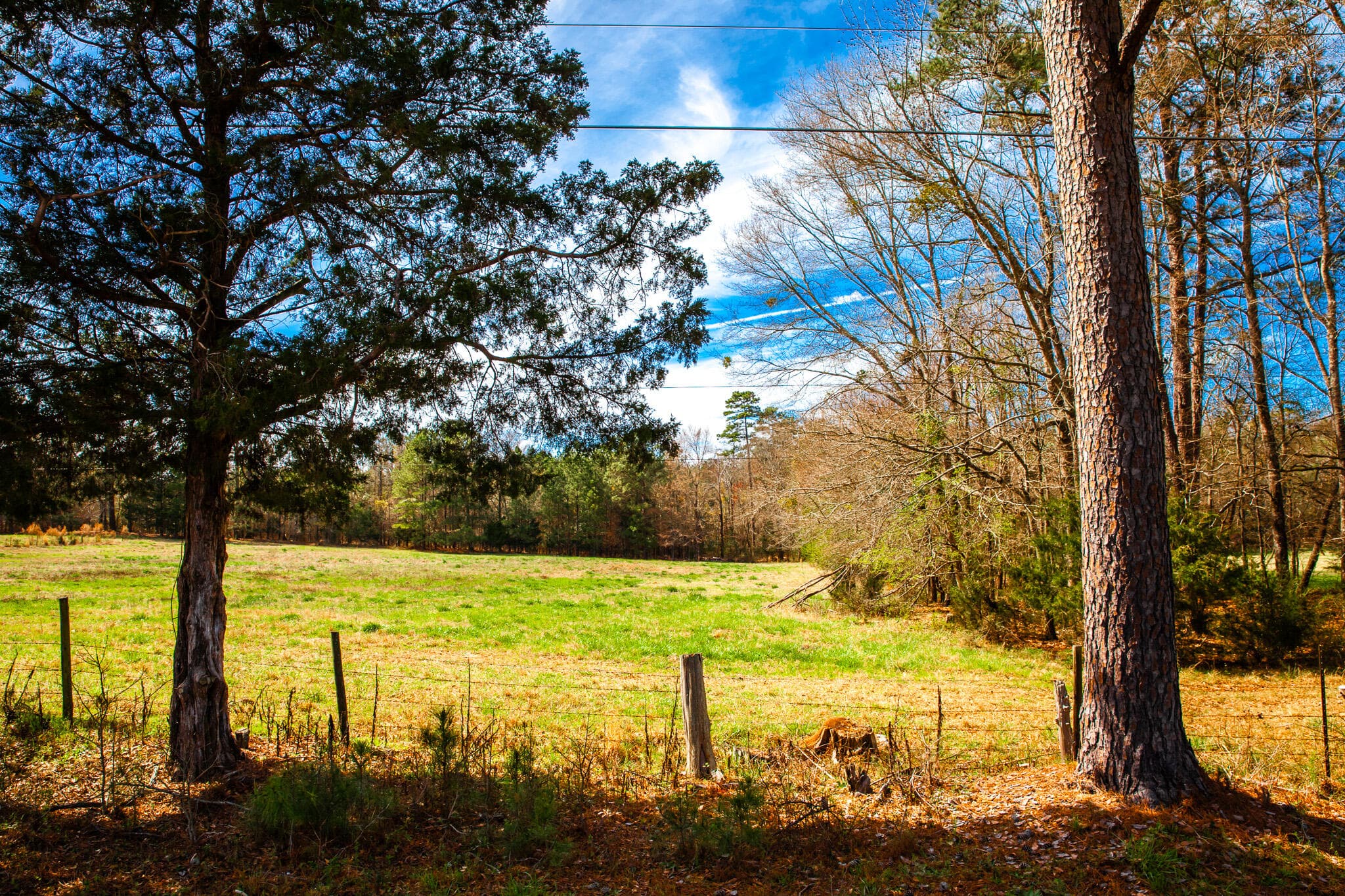 Undeveloped at 3510 4 Mistletoe Road, Appling, GA 30802, photo 6 of 7