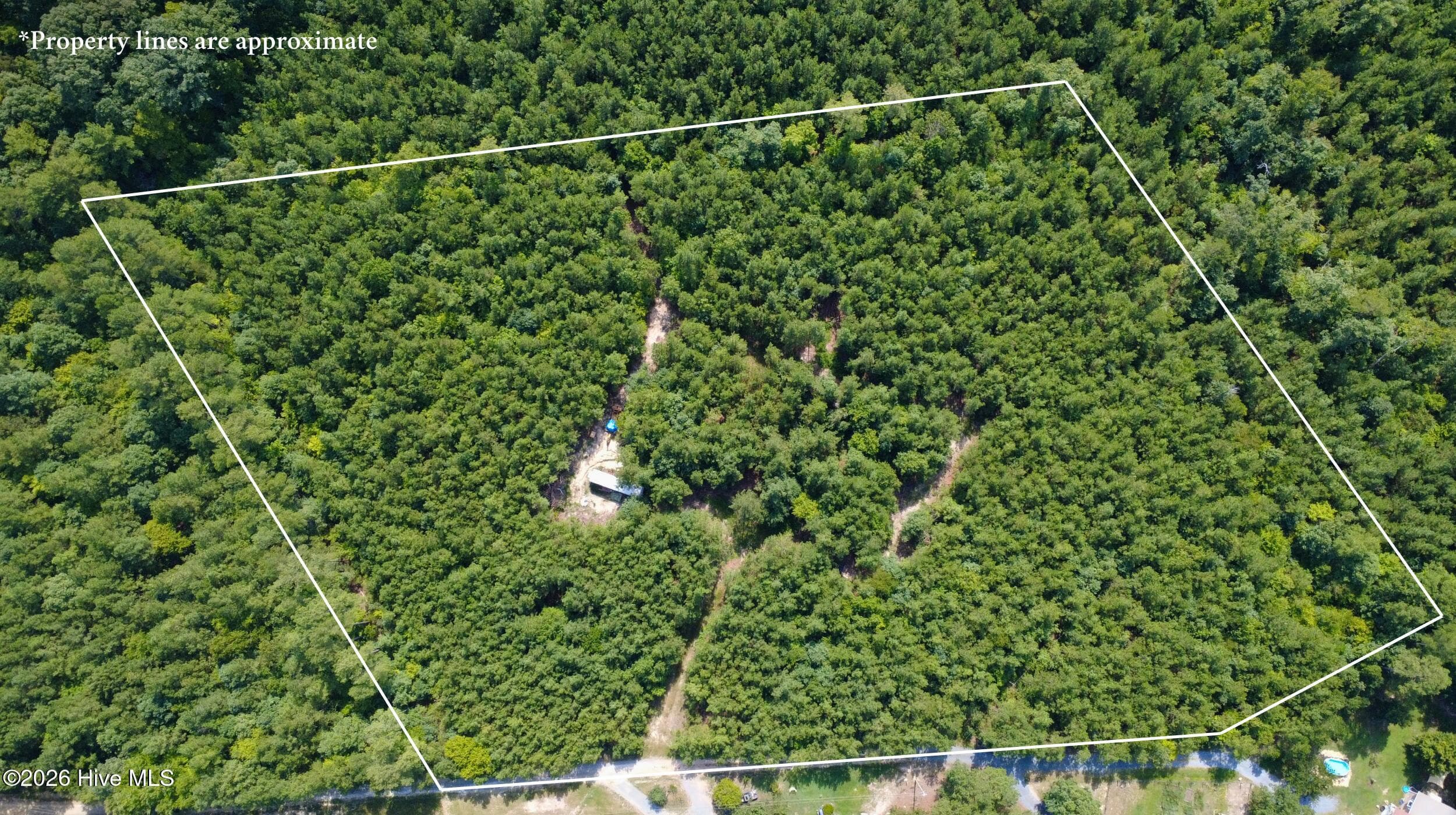 Undeveloped at 239 16 Lick Creek Road, Carthage, NC 28327, photo 3 of 12
