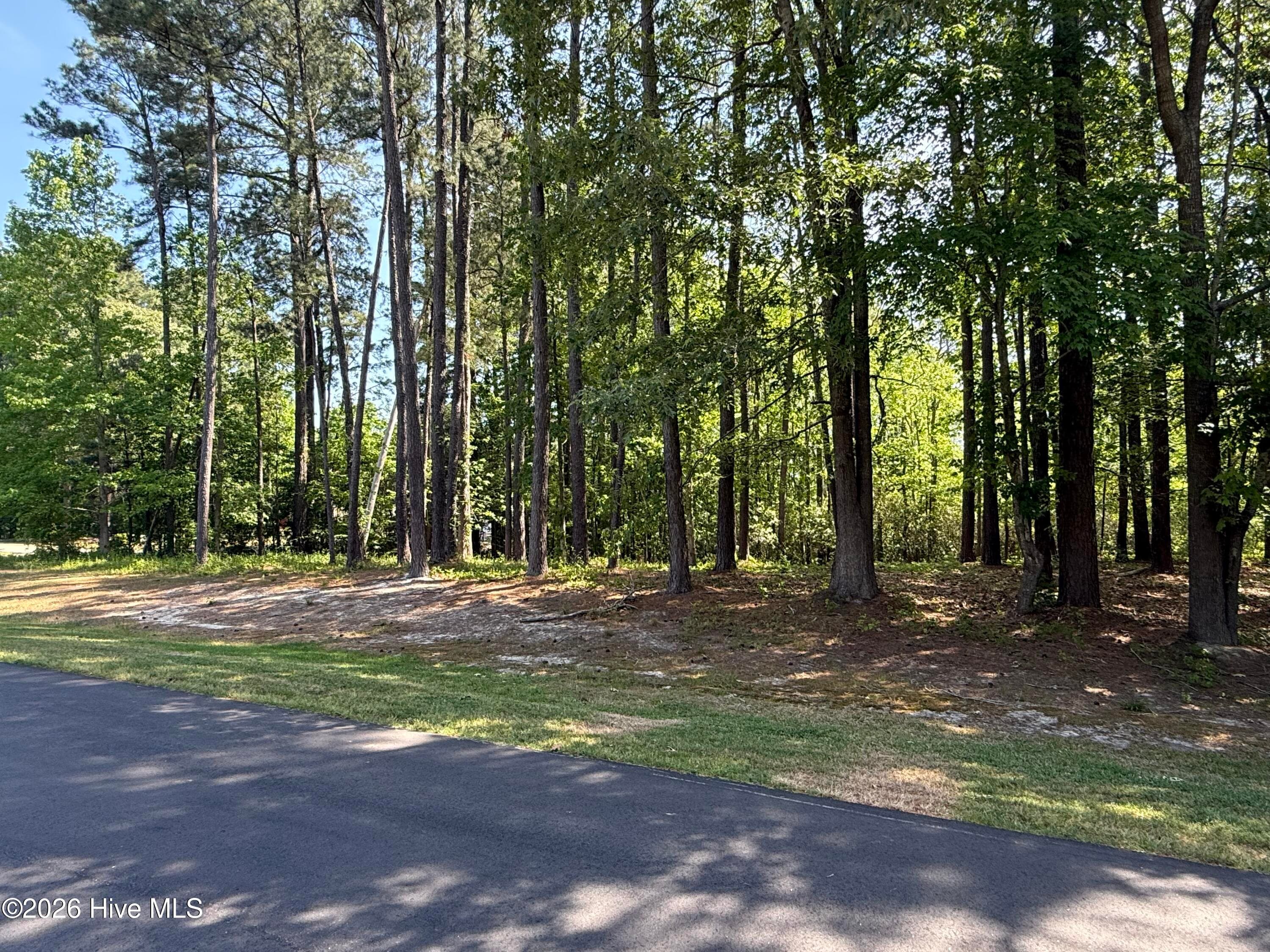 Residential Lot at 14 Greenwood Drive, Hertford, NC 27944, photo 9 of 23