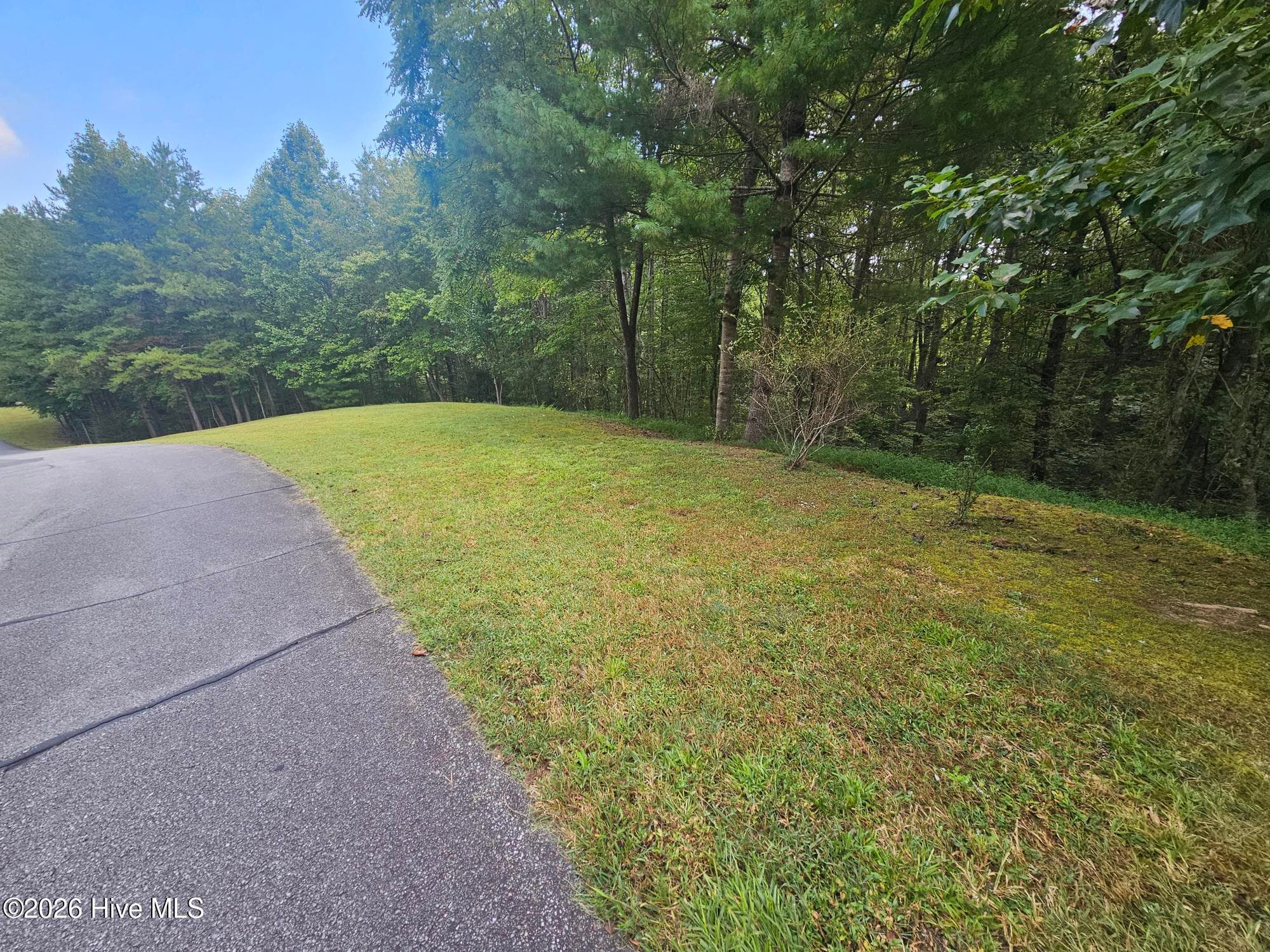 Residential Lot at 0 Wildcat Drive, Murphy, NC 28906, photo 4 of 11