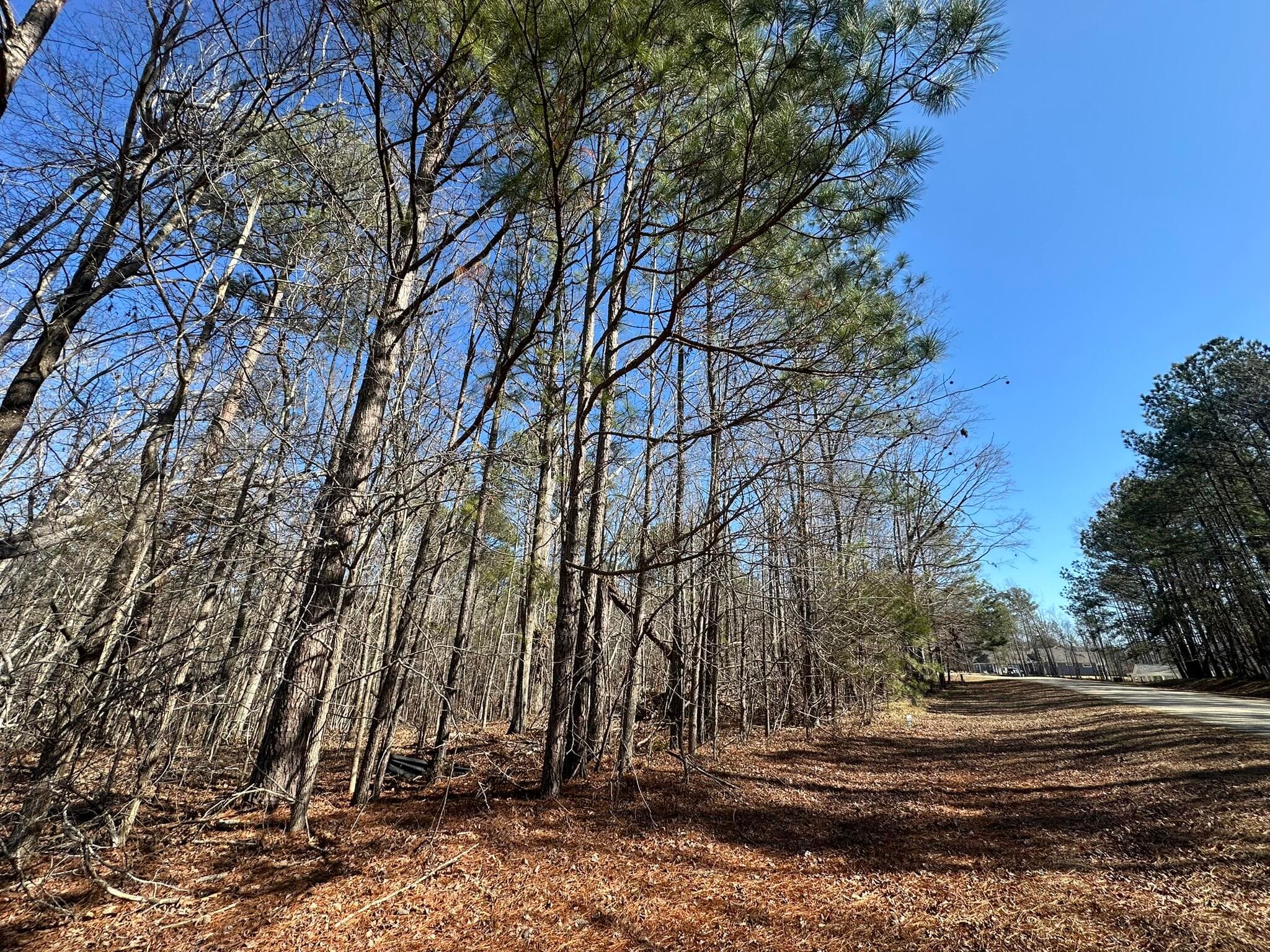 Residential Lot at 117 B35 L9 Cumberland Drive, McCormick, SC 29835, photo 2 of 14