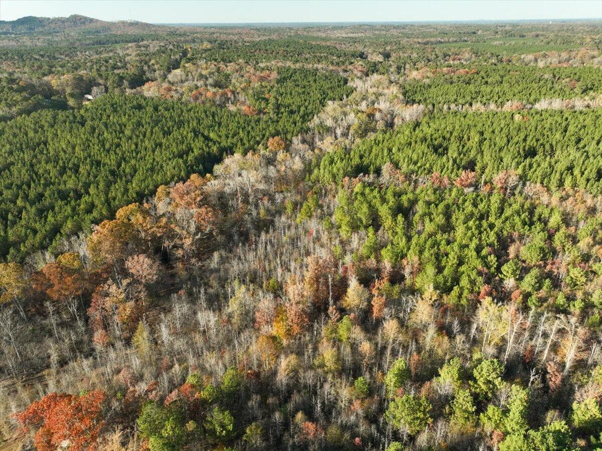 Agriculture at 00 Crook Road, Lincolnton, GA 30817, photo 6 of 7