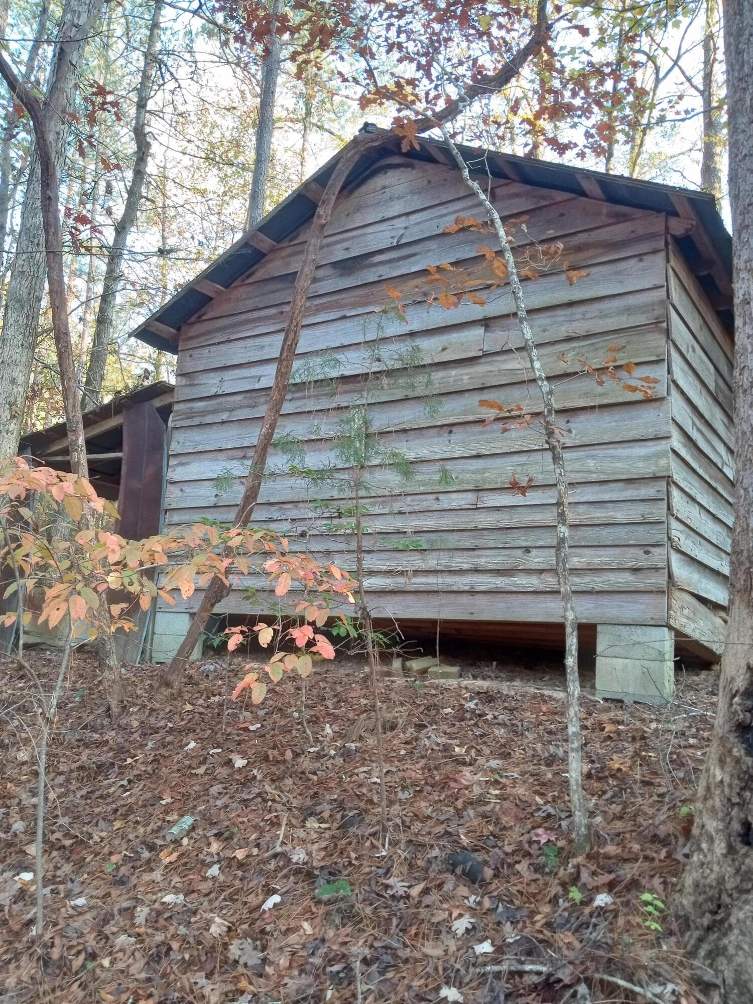 Residential Lot at 2722 Sc-23, Modoc, SC 29838, photo 8 of 62