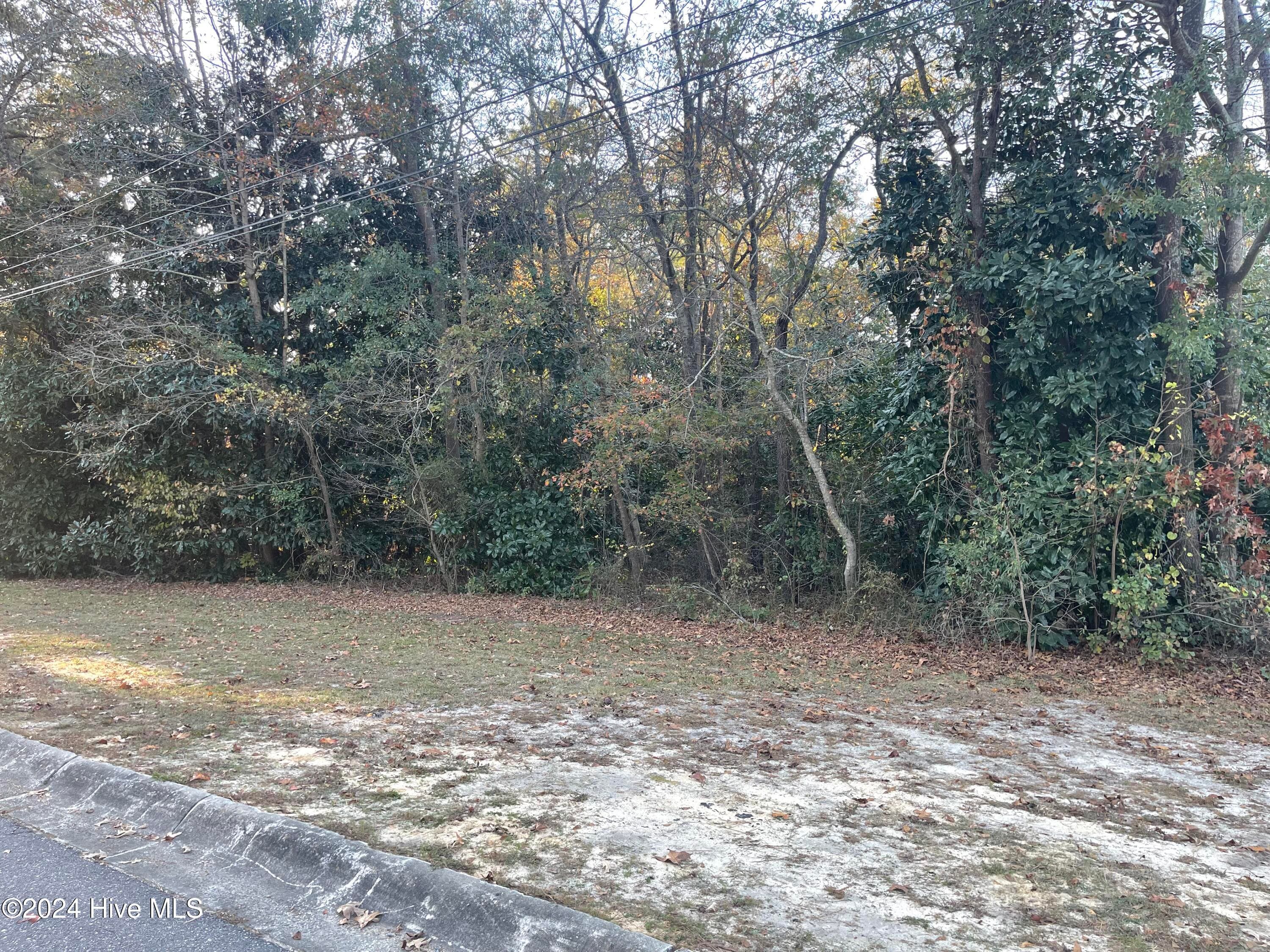 Wooded at 408 Lot 4, Block F, Lake Pines Drive, La Grange, NC 28551, photo 12 of 12