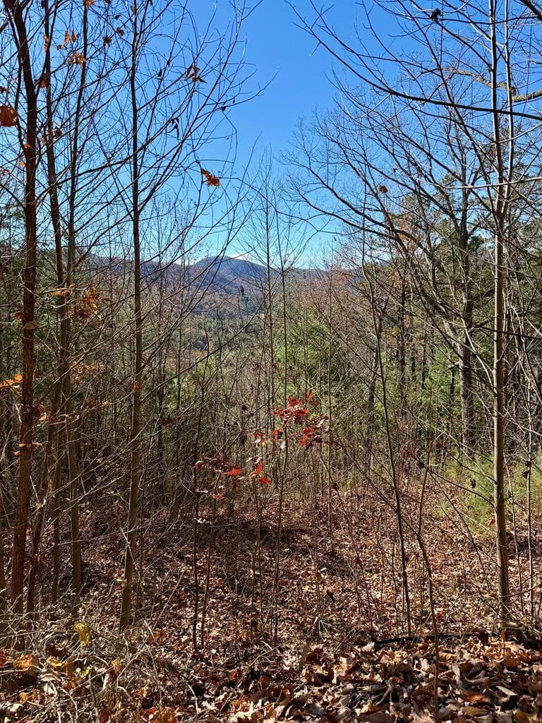 Residential Lot at Lot 14 14 View Ridge Trail, Murphy, NC 28906, photo 7 of 9