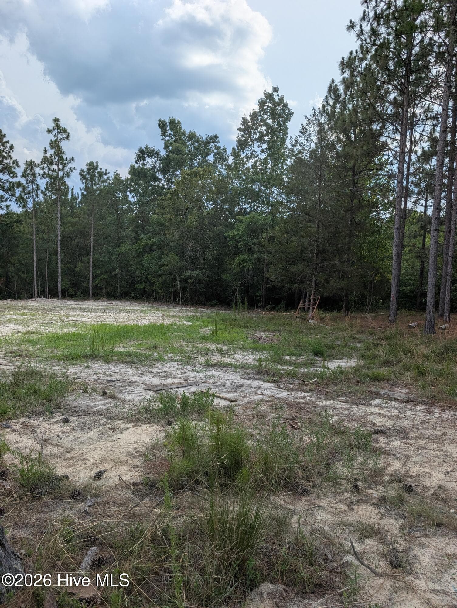 Residential Lot at 270 1-R Charles Road, Eagle Springs, NC 27242, photo 8 of 13