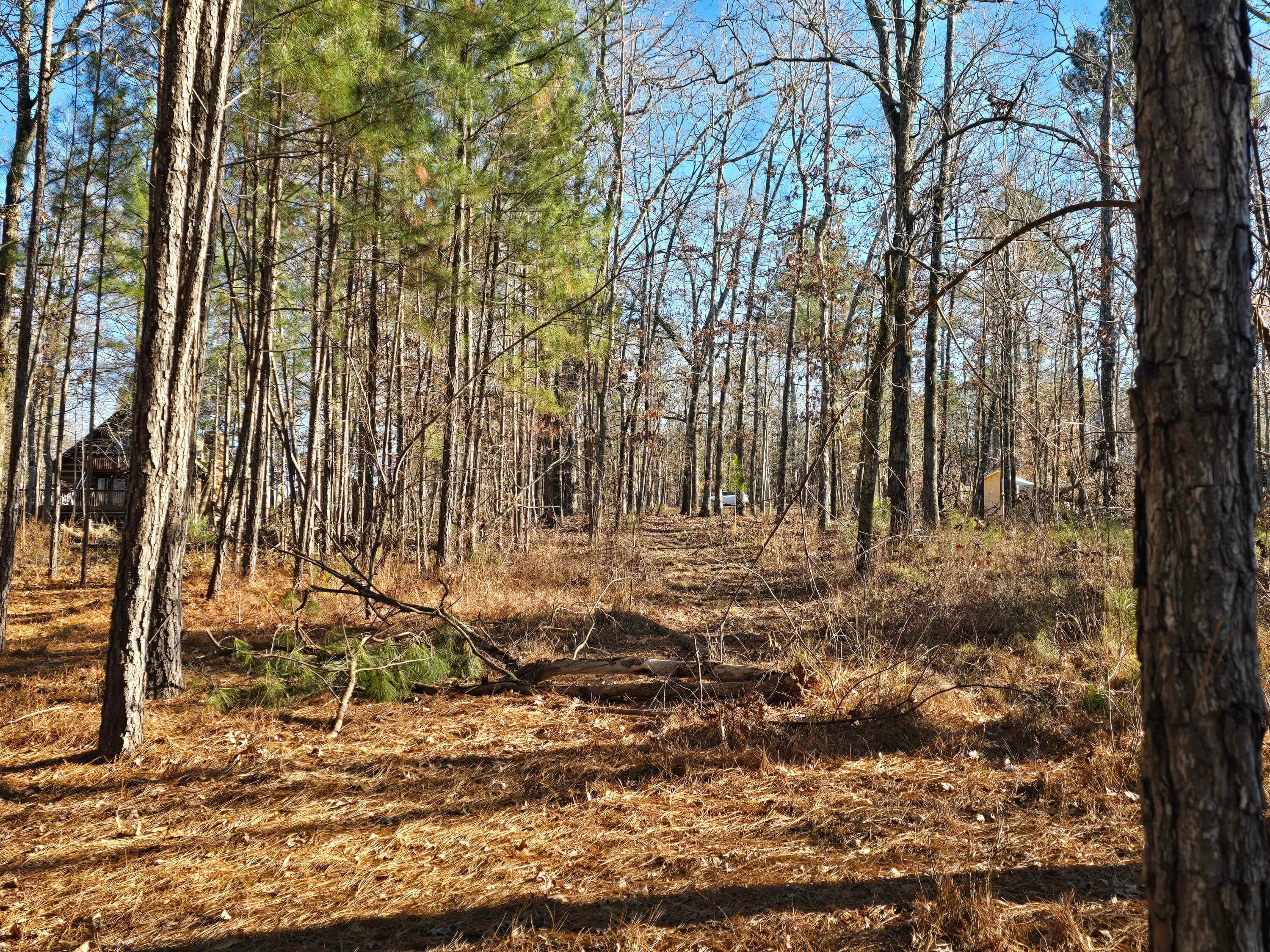 Residential Lot at 1102 Dogwood Drive, Lincolnton, GA 30817, photo 42 of 46