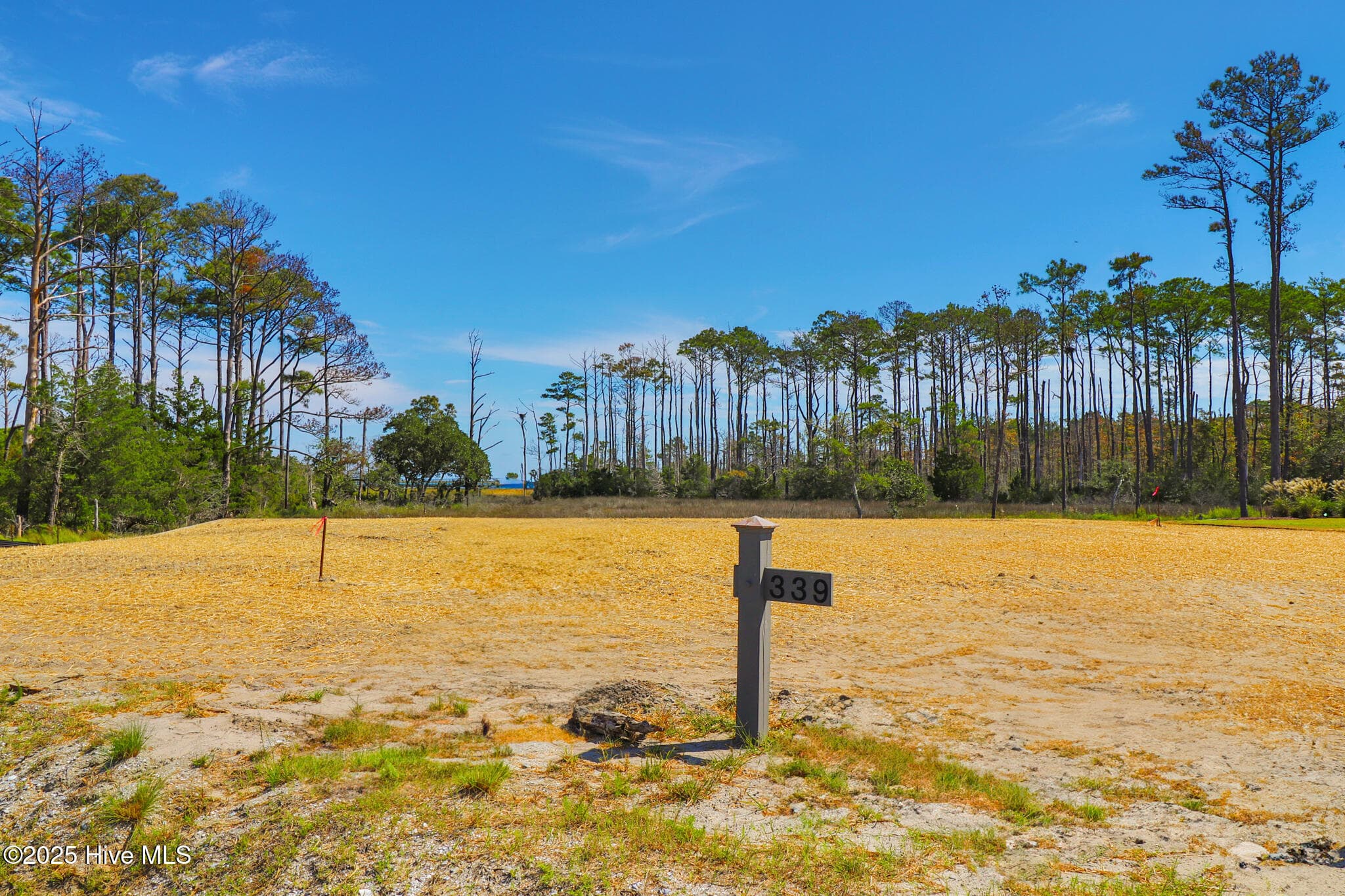 Residential Lot at 530 Freedom Park Road, Beaufort, NC 28516, photo 3 of 23