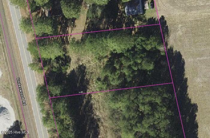 Wooded at 0 Underwood Road, Murfreesboro, NC 27855, photo 3 of 6