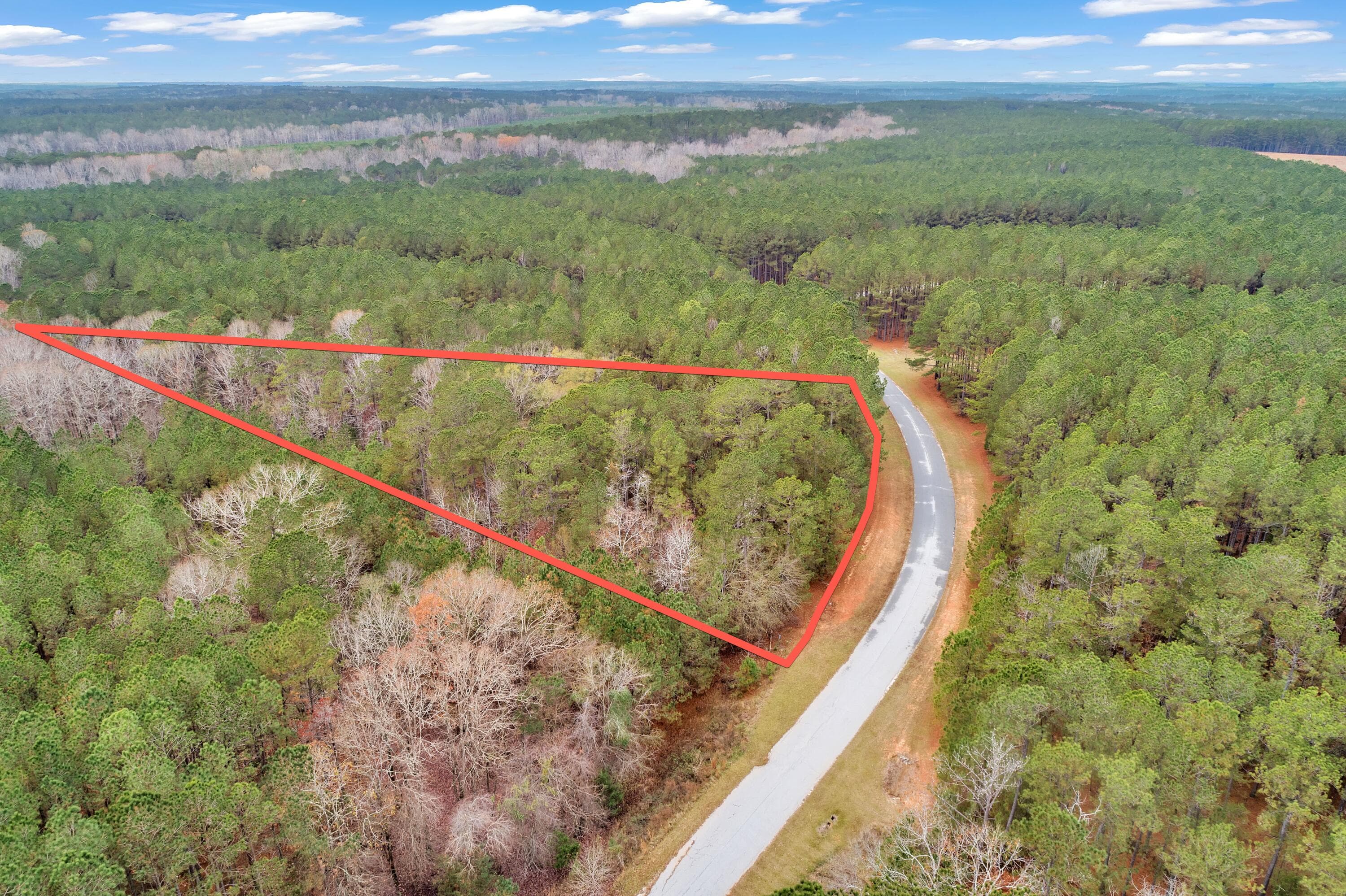 Residential Lot at 1252 294 Rogers Road, Tignall, GA 30668, photo 12 of 29