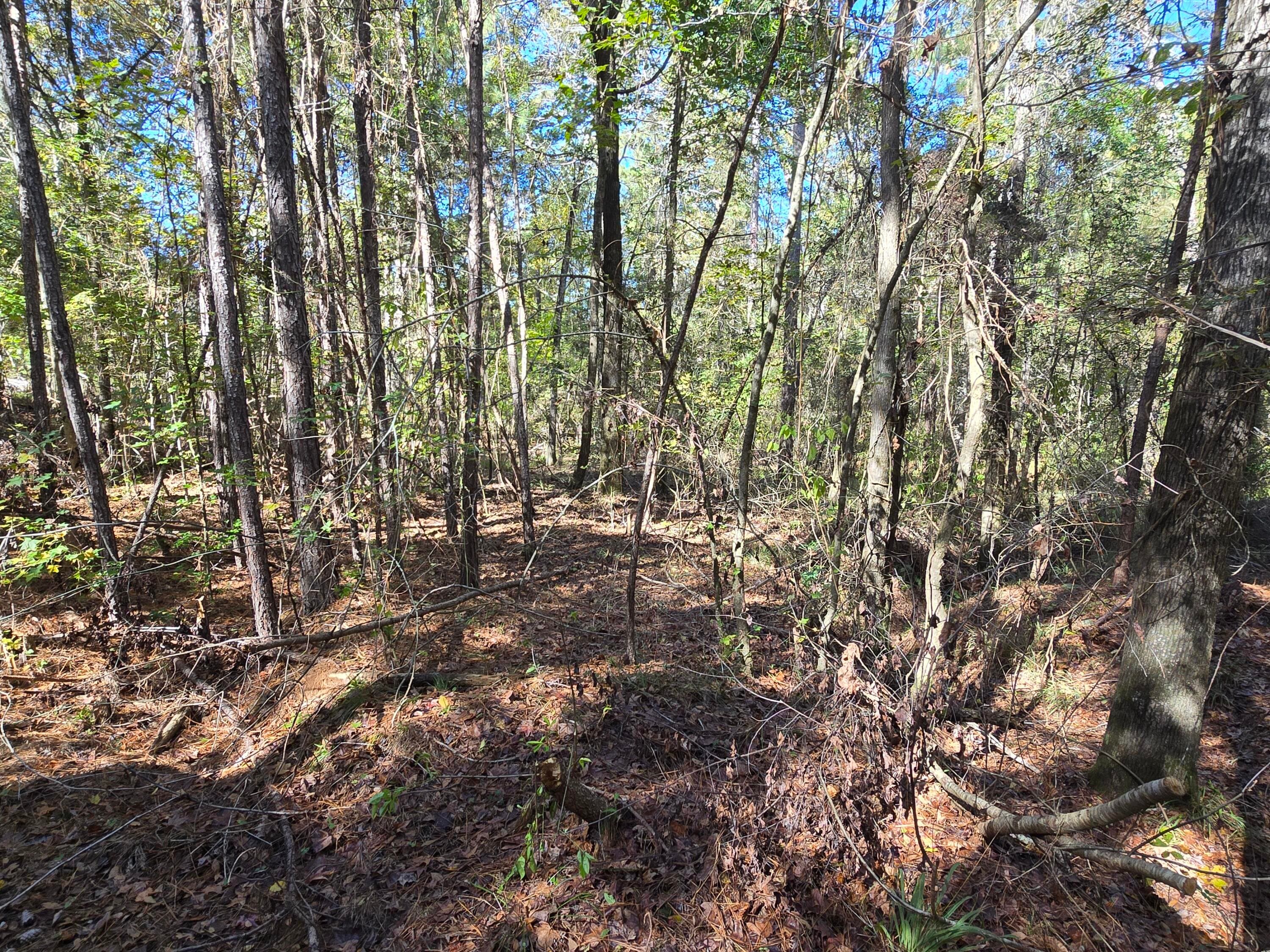Mixed Use at 7501 Rainey Morris Road, Appling, GA 30802, photo 33 of 47