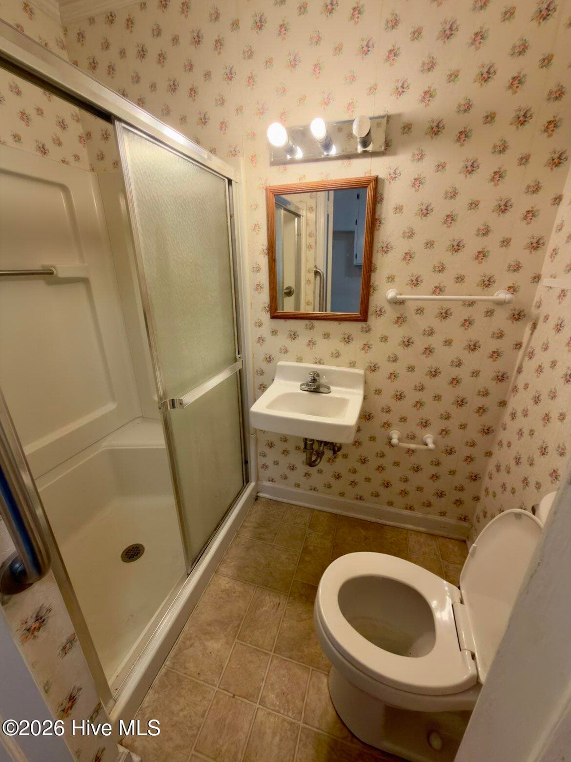 Single Family Residence at 231 Lambert Road, Biscoe, NC 27209, photo 16 of 22