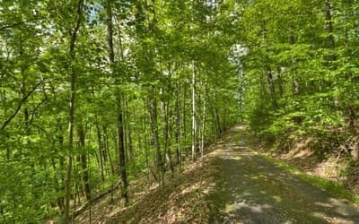 Residential Lot at Lot 1 1 High Country Lane, Morganton, GA 30560, photo 6 of 8