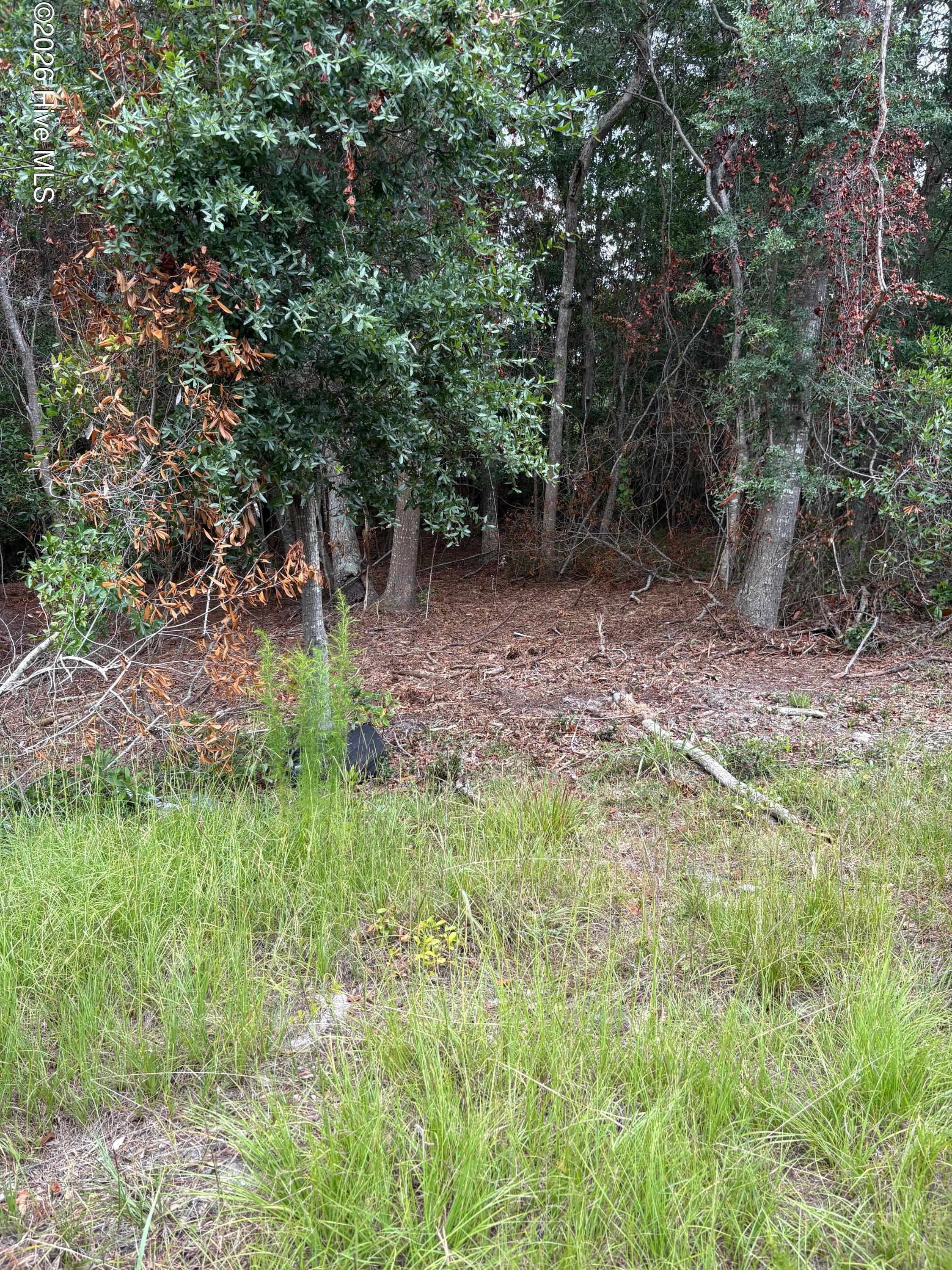 2973 109 James Street SW, Supply, NC 28462