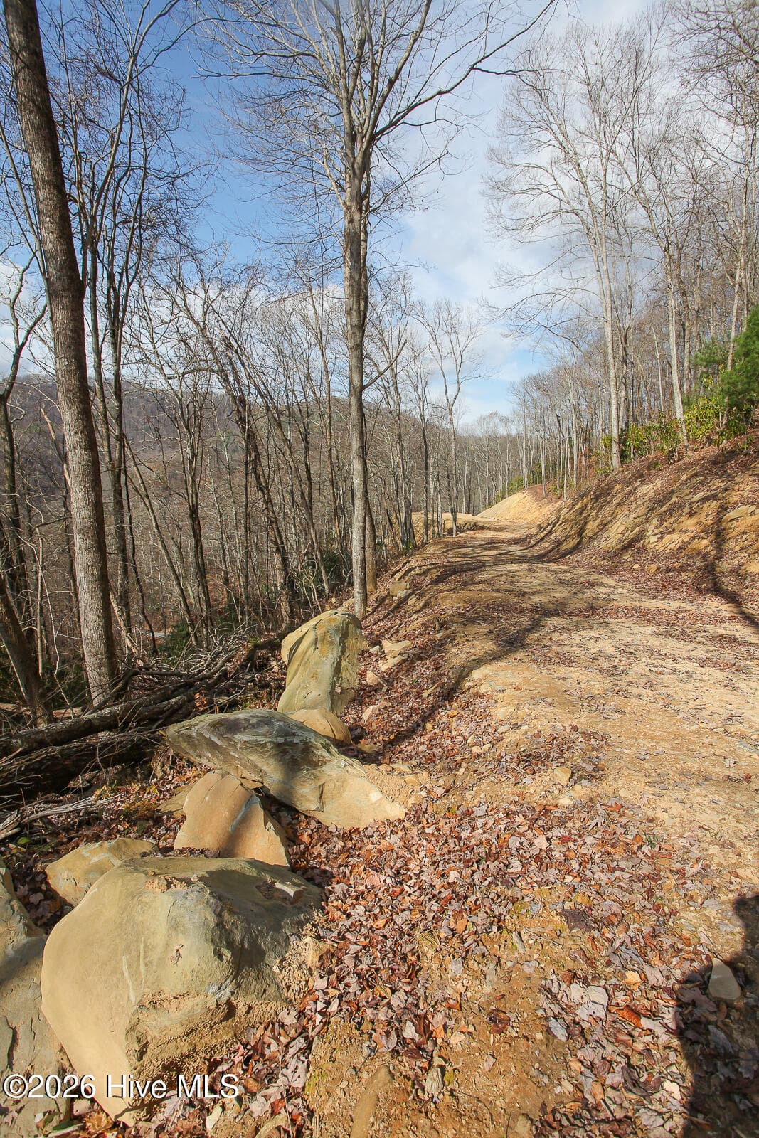 Undeveloped at Lot 20 Walnut Cove Branch, Robbinsville, NC 28771, photo 20 of 31