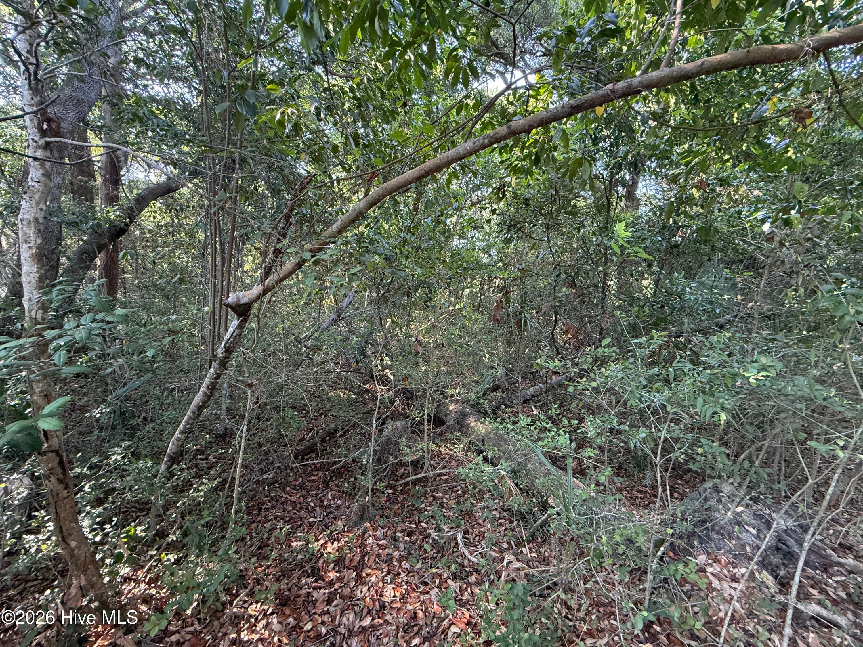 Residential Lot at 207 902 Stede Bonnet Wynd, Bald Head Island, NC 28461, photo 2 of 4