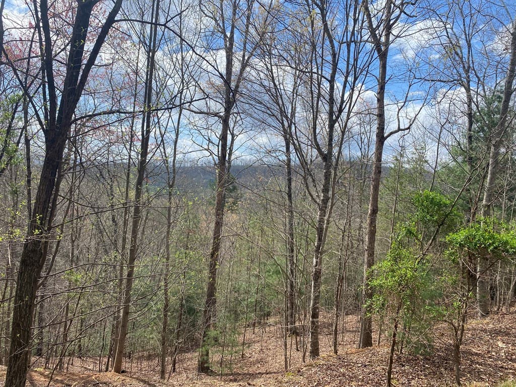 Residential Lot at Lot 62 62 Jitterbug Lane, Murphy, NC 28906, photo 4 of 4