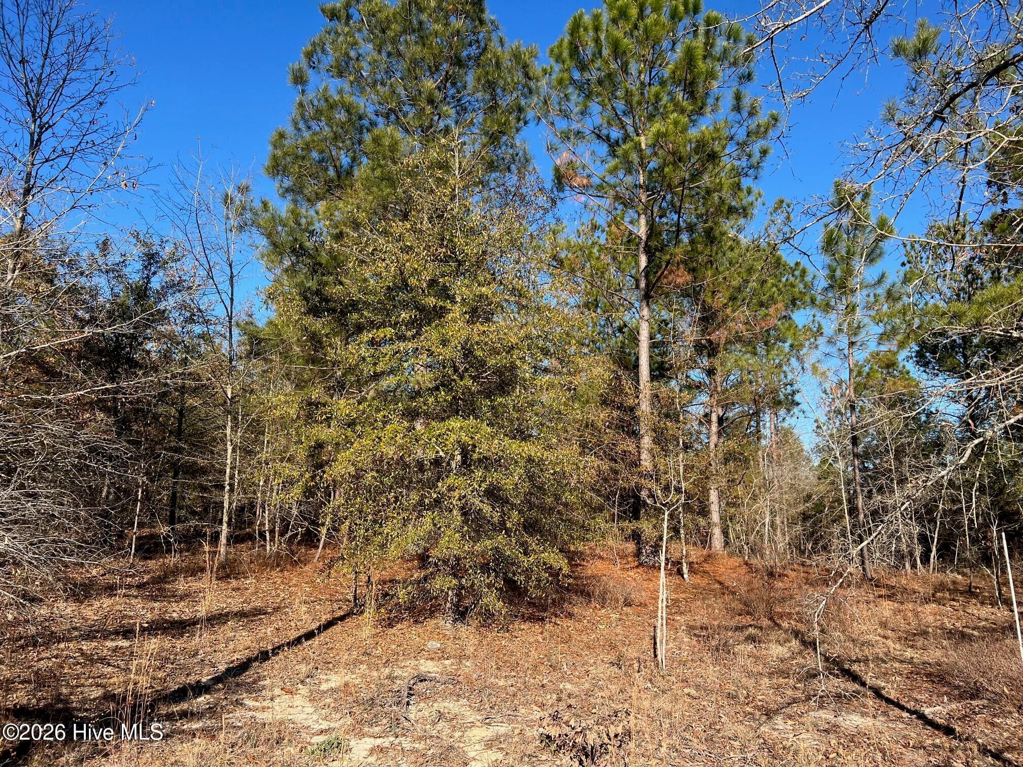 0 Golden Eagle Lane, Hephzibah, GA 30815