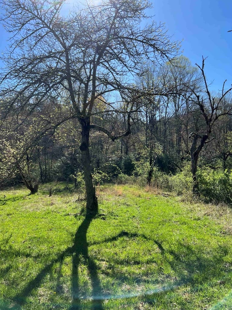 4.90 Wayah Road, Nantahala, NC 28781