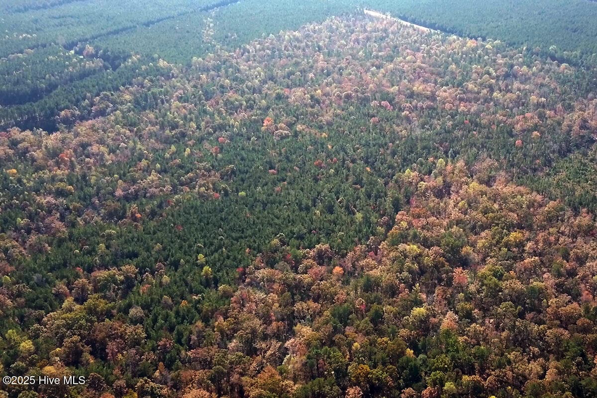 Looking Southeast upon Tracts I, J & K, which is the Headwaters of Calf Creek. - Sr #1123 Lots #1 #3, #4, #5 State Rd 1123, Chocowinity, NC 27817
