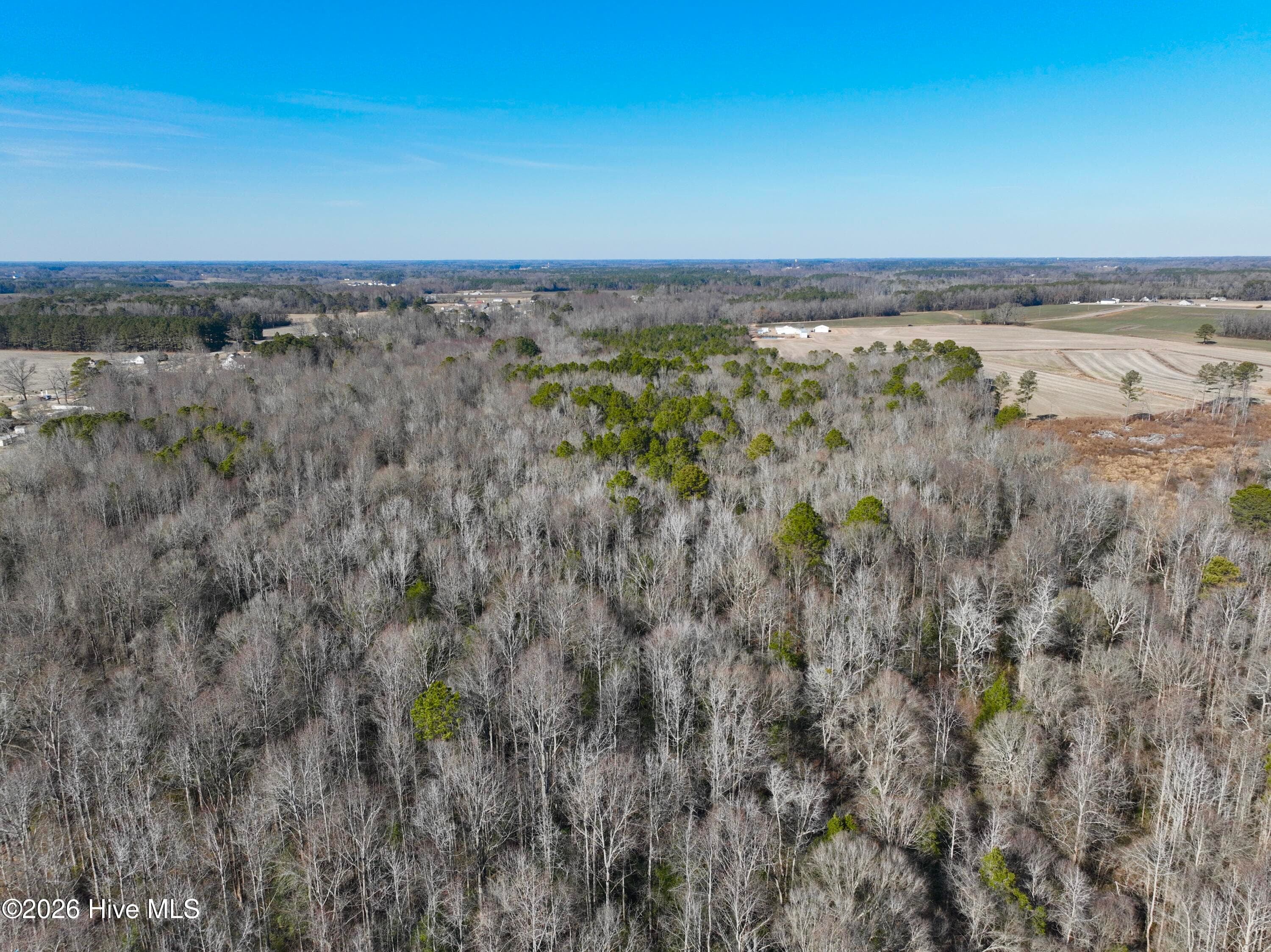 Wooded at 0 Fred Circle S, Kenly, NC 27542, photo 16 of 21