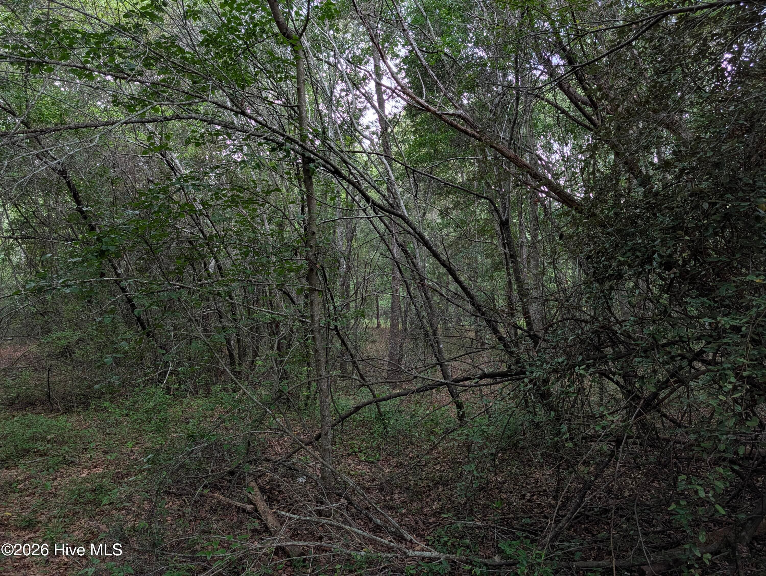 Residential Lot at 285 Garvin Drive, Wagener, SC 29164, photo 6 of 14